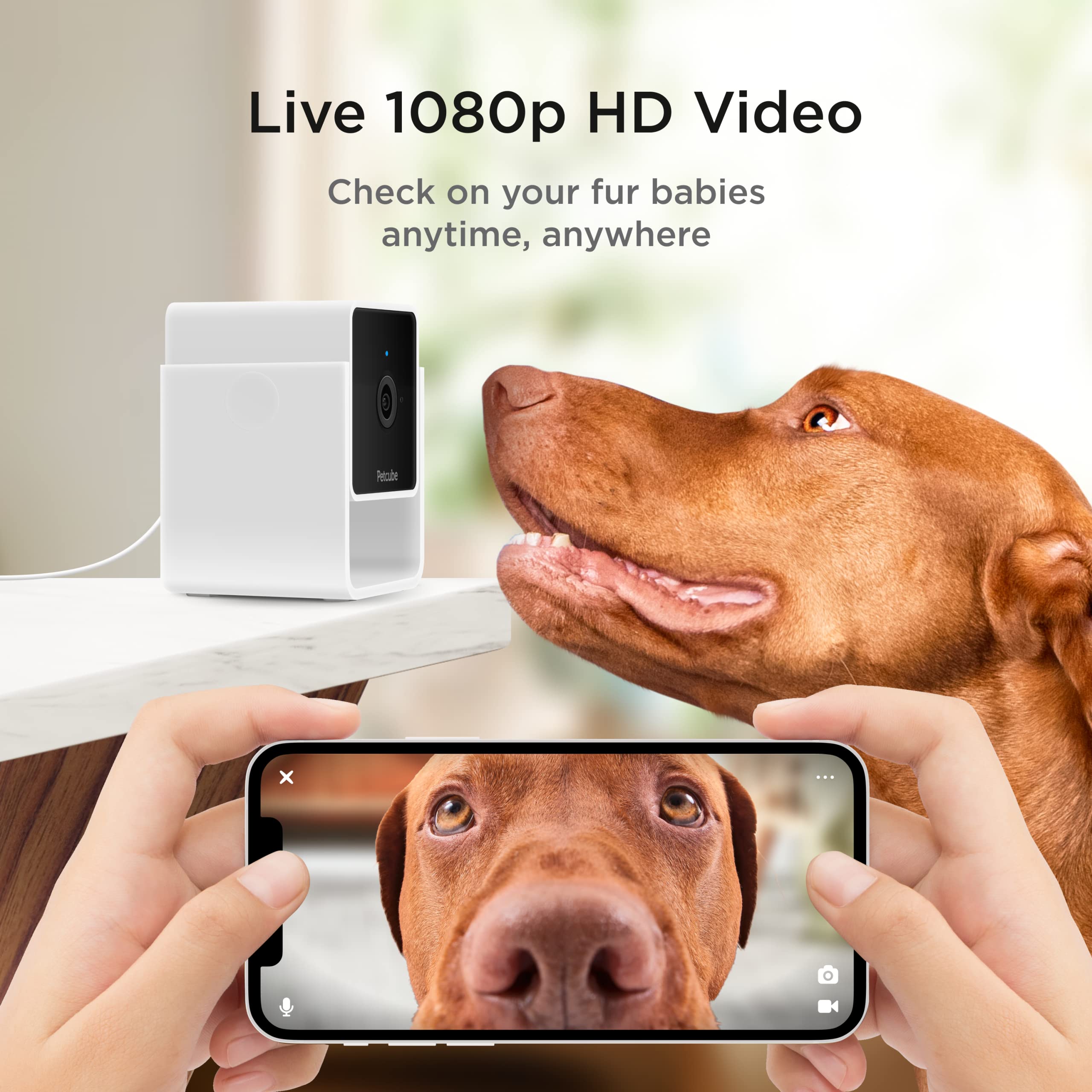 Petcube Cam | Indoor Wi-Fi Pet and Security Camera with Phone App, Pet Monitor with 2-Way Audio and Video, Night Vision, 1080p H