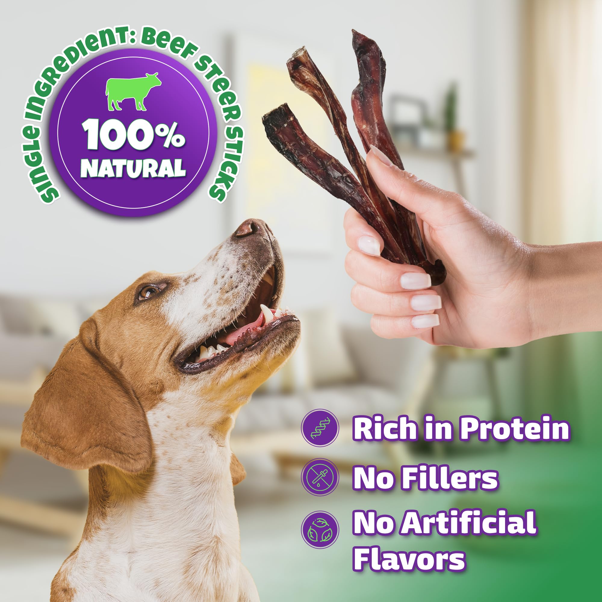 Bully Sticks for Dogs Sourced & Made in USA, All-Natural Taste, Shape, & Color, 6 inch Pizzle Sticks, Bully Bones for Small and