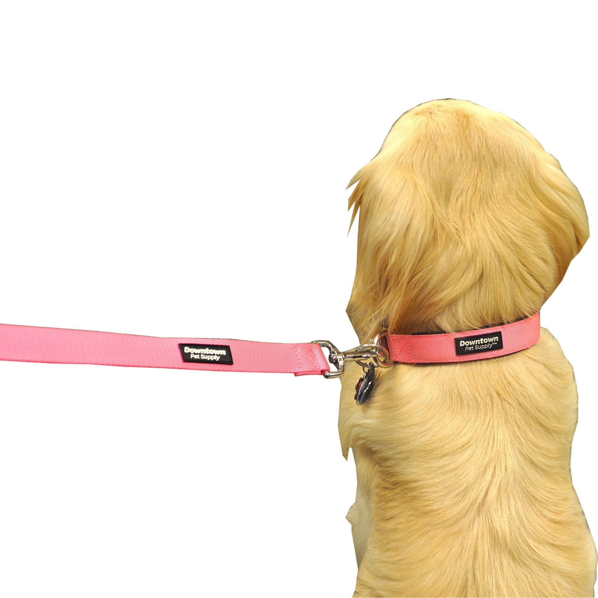 Downtown Pet Supply Deluxe Dog Collar - Adjustable Padded With Metal Buckle & D-Ring - Machine Washable & Water Resistant Thick