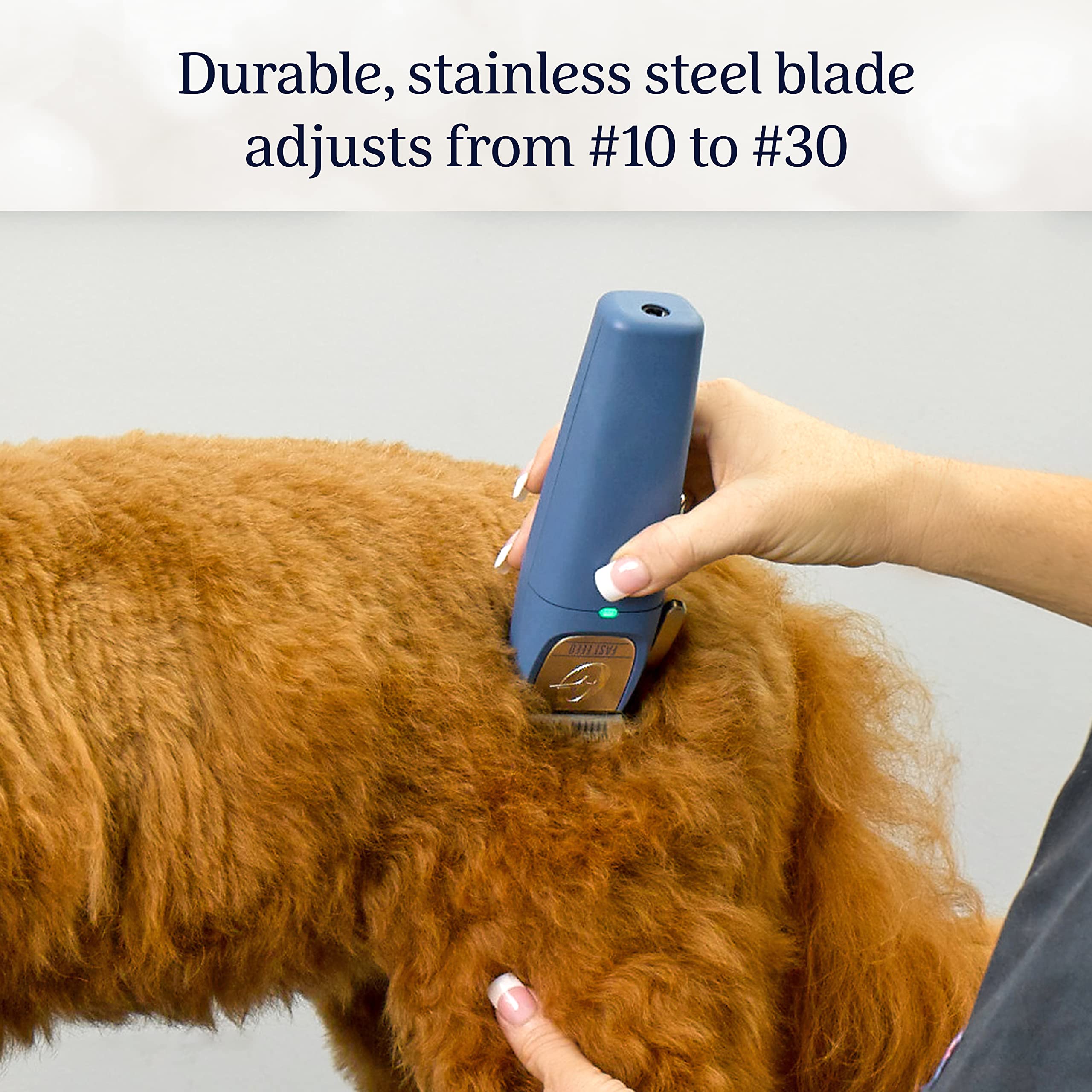 Oster Professional Fast Feed Cordless Pet Clippers, Stainless Steel, Blue, Model 2143932