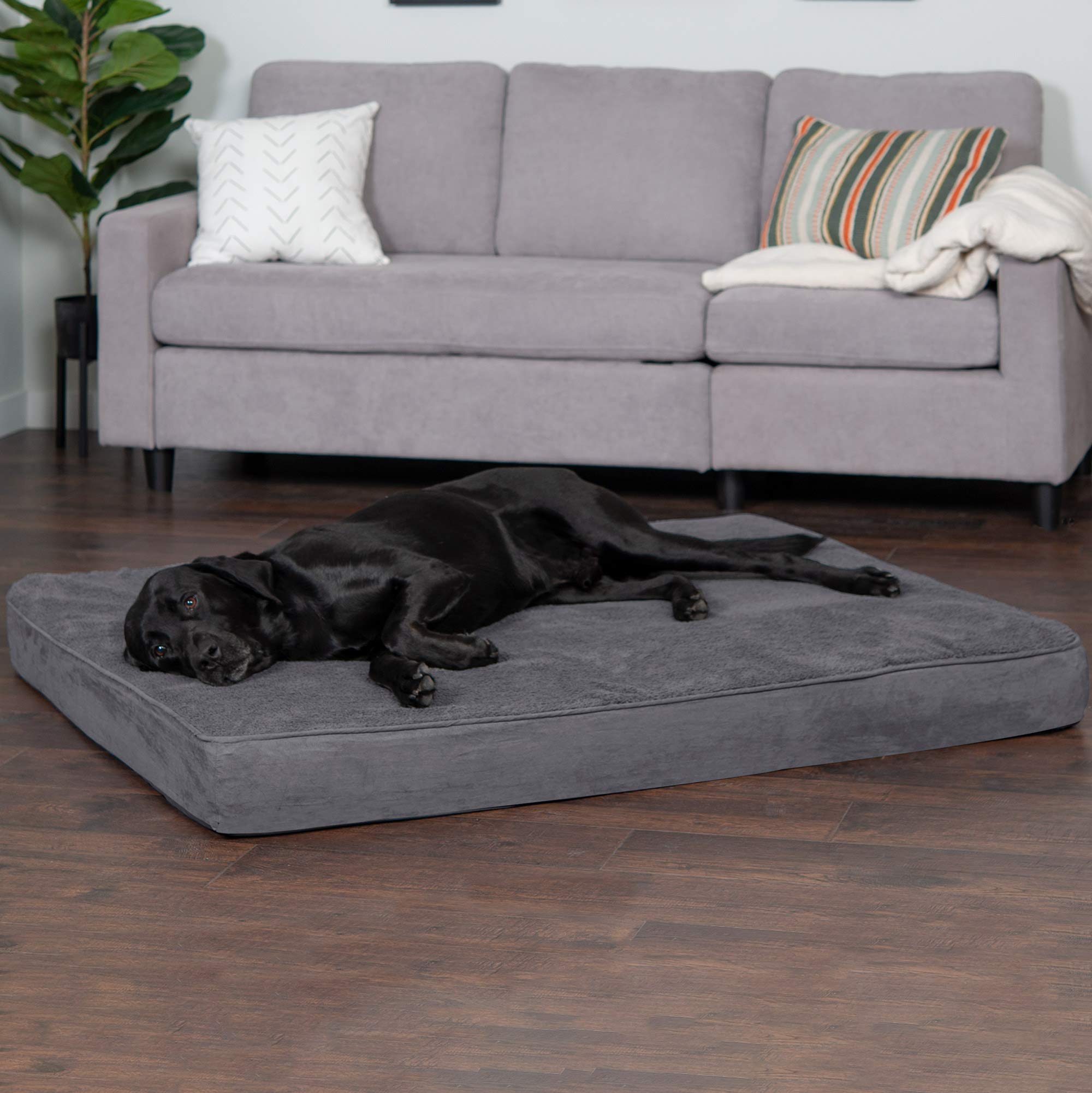 Furhaven Memory Foam Dog Bed for Large Dogs w/ Removable Washable Cover, For Dogs Up to 125 lbs - Terry & Suede Mattress - Gray,