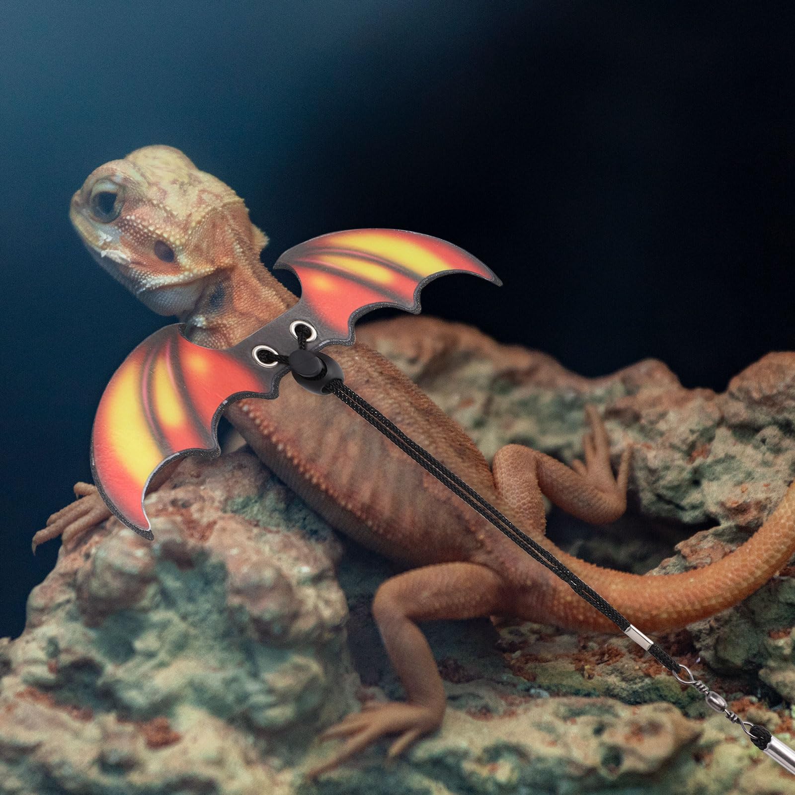 Bearded Dragon Leash and Harness Set, Adjustable Reptile Harness and Leash Cool Bearded Dragon Accessories for Small Pet Animals