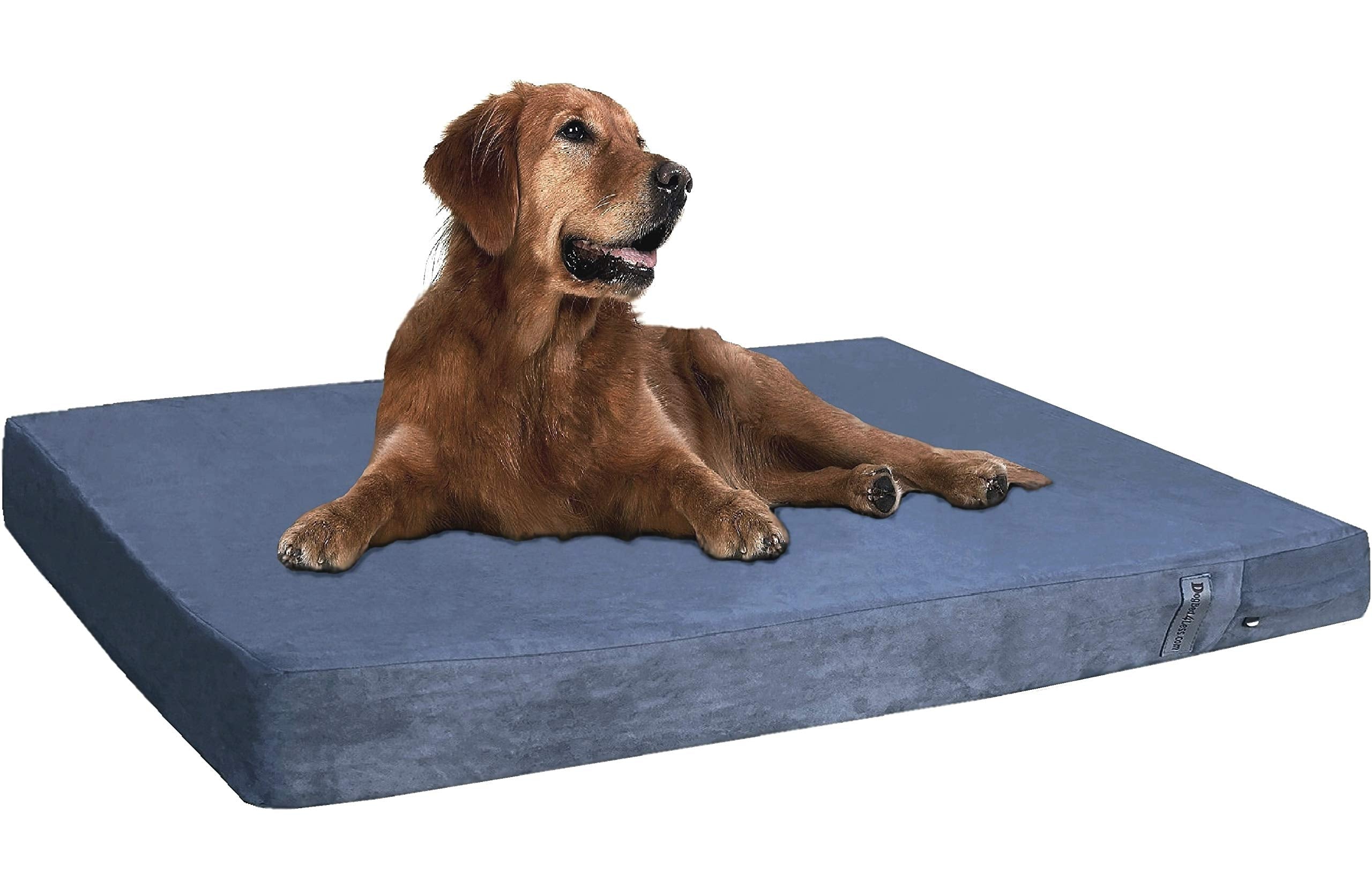 Dogbed4Less Premium Orthopedic Memory Foam Dog Bed, Waterproof Lining, Machine Washable External Cover And Extra Pet Bed Case, F