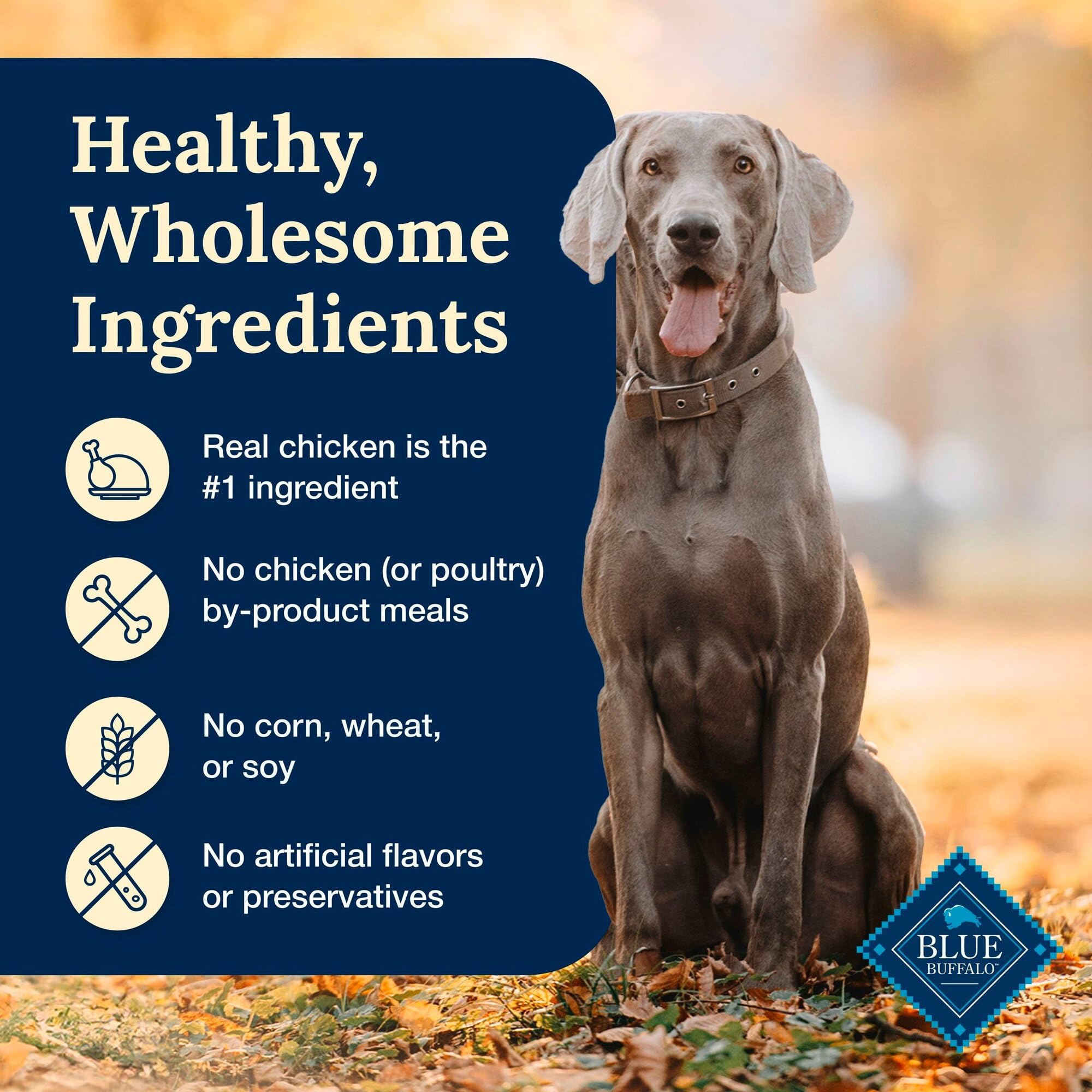 Blue Buffalo Delectables Natural Wet Dog Food Toppers, Tasty Chicken Cuts in Gravy, 3-oz. (24 Pouches)