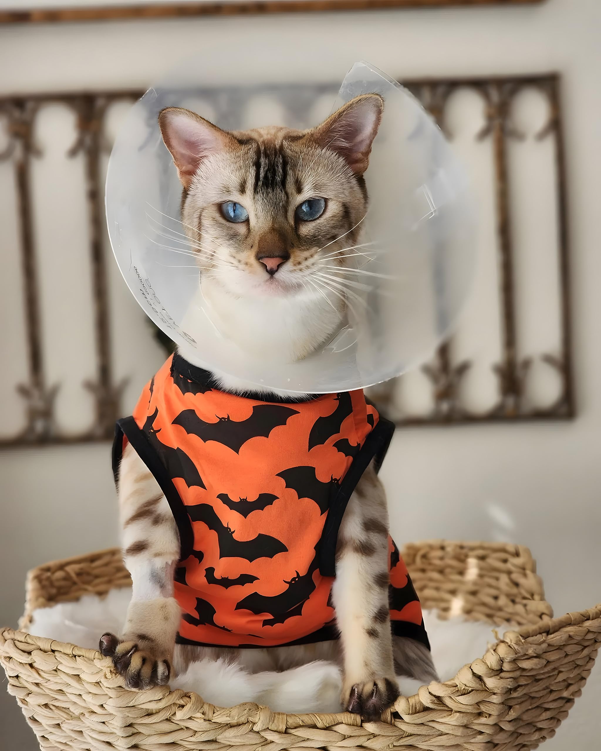 Fitwarm 100% Cotton Halloween Dog Clothes Scary Bat Dog Costumes Doggie Shirts Puppy Shirt Pet Vest Tank Top Cat Tee Orange Xx-Large