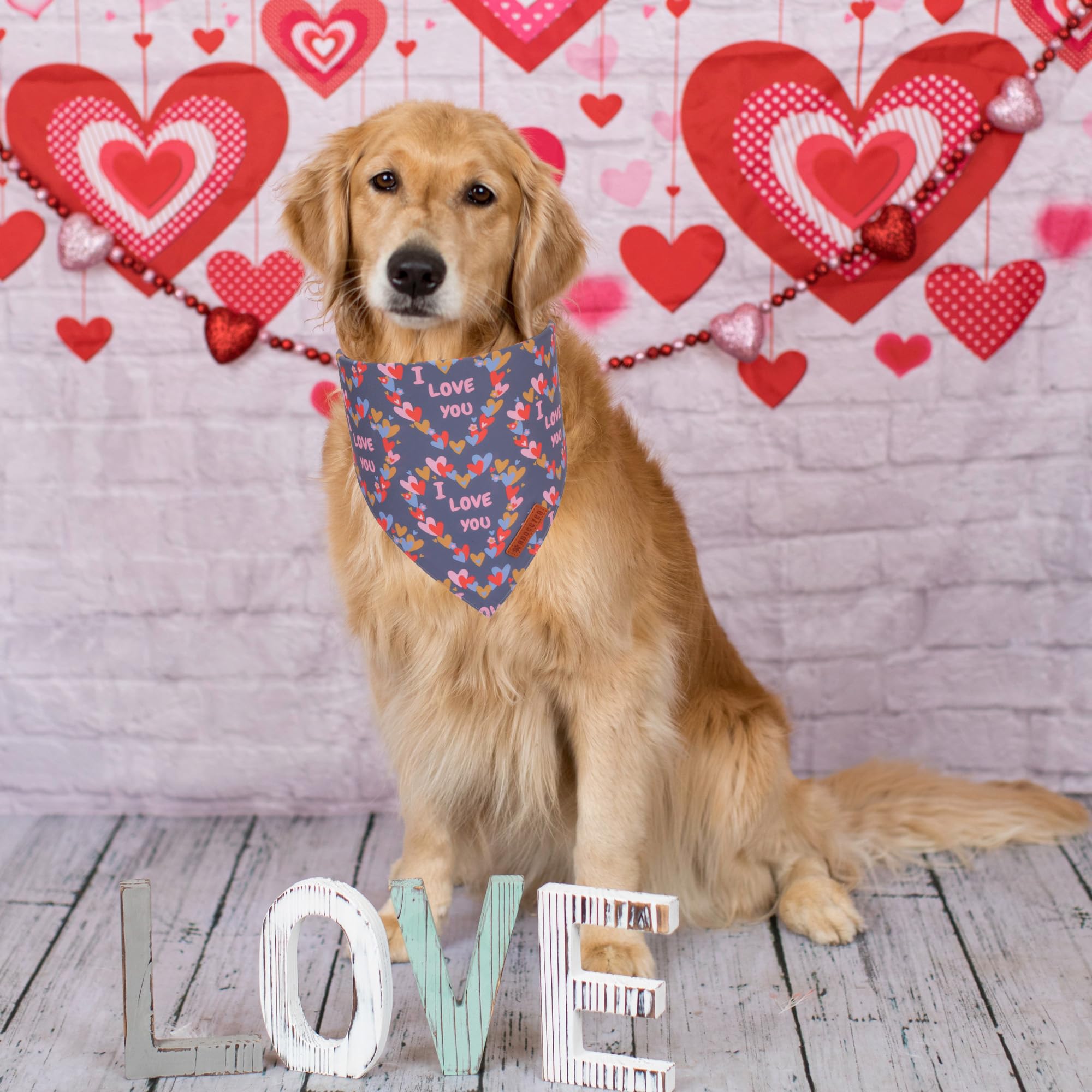 ADOGGYGO Valentine Dog Bandanas, Heart Love Floral Pet Scarf, Multi Size Offered, Pink Blue Pet Valentine Bandana for Large and