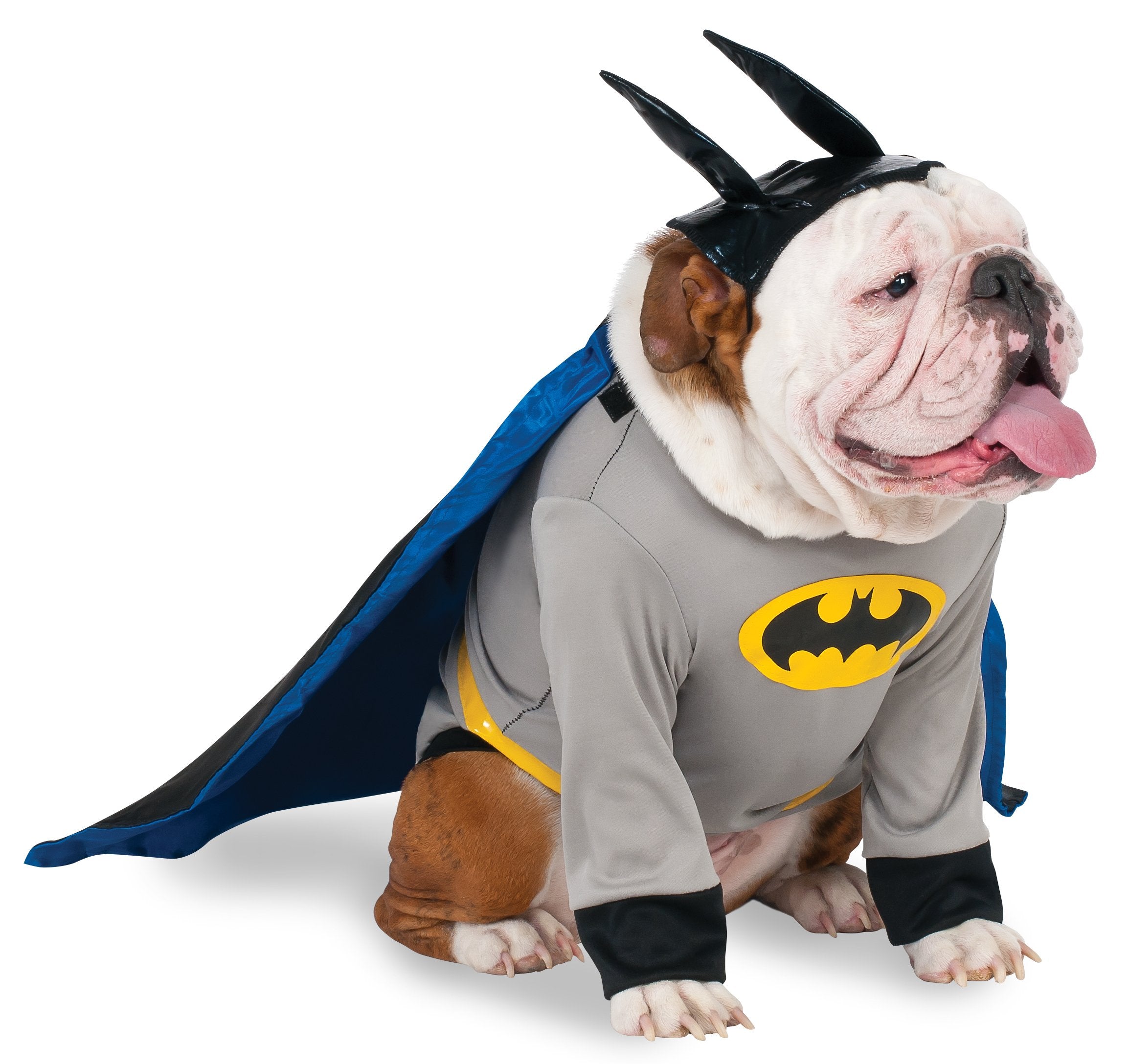 Dc Comics Batman Big Dog Boutique, Xx-Large For Themed Parties And Halloween