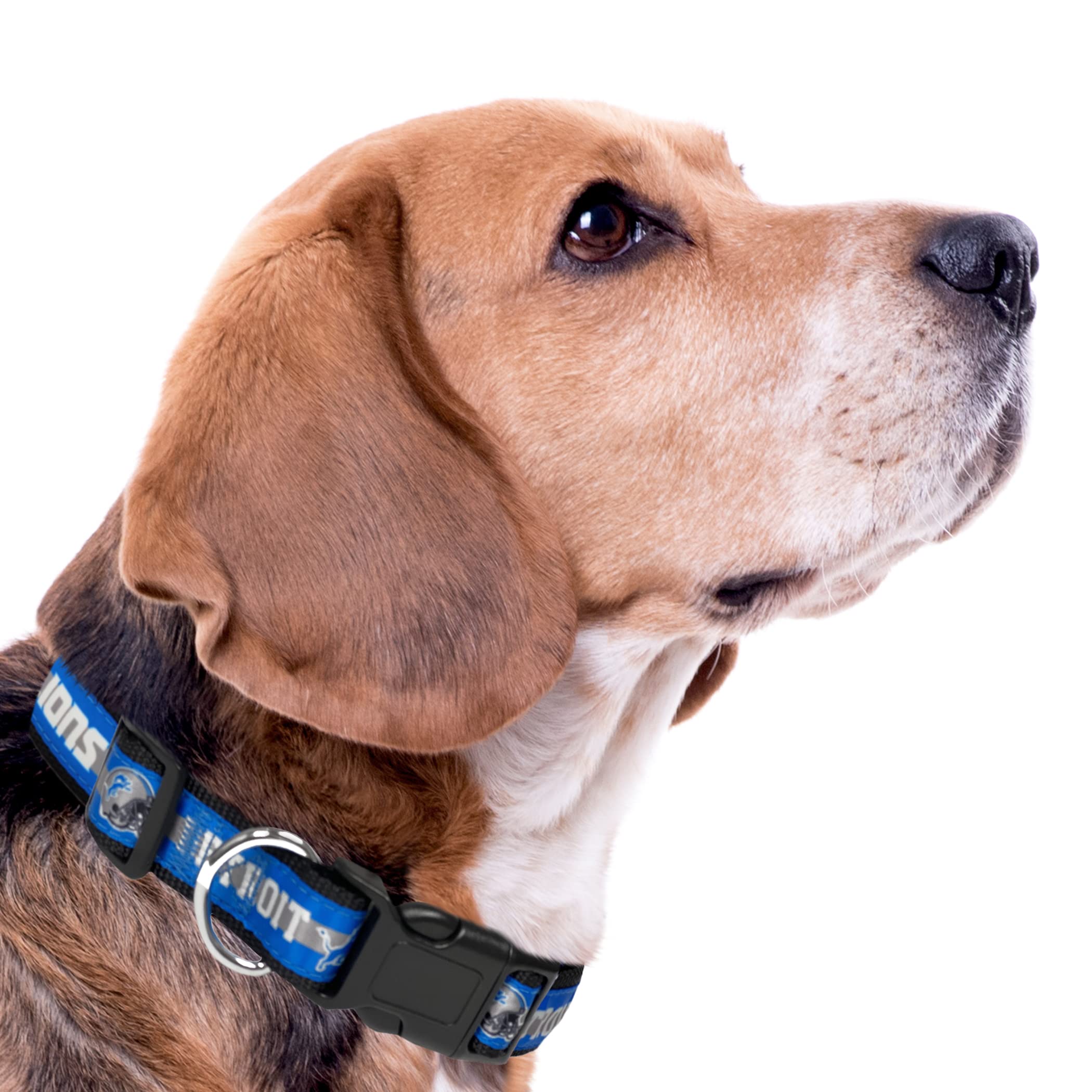 Pets First NFL Detroit Lions Licensed PET COLLAR, Small - Heavy-Duty, Strong, and Durable Dog Collar. Available in 31 Football T