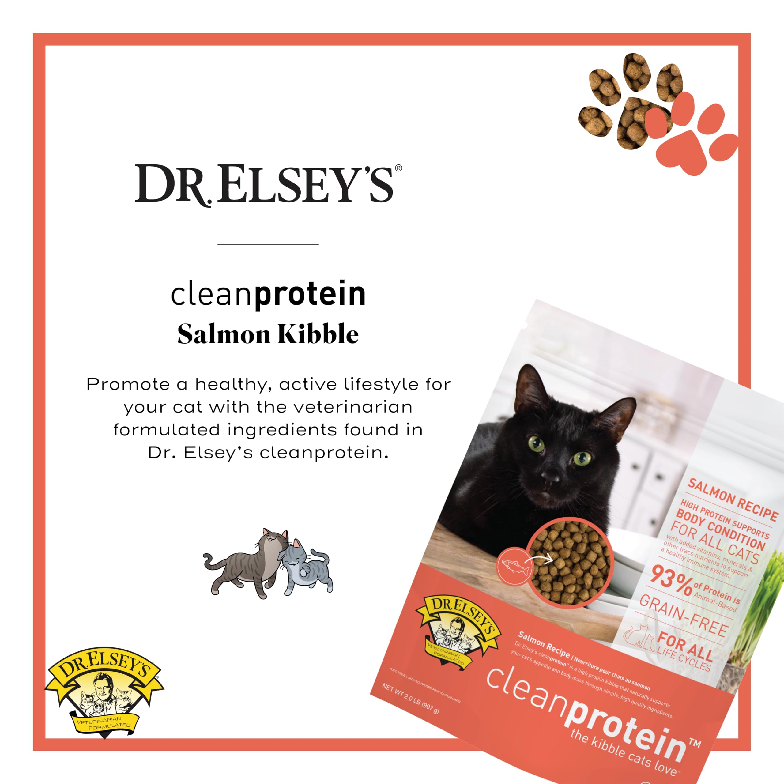 Dr. ElseyS Cleanprotein Salmon Formula Dry Cat Food, 2 Pound (Pack of 1)