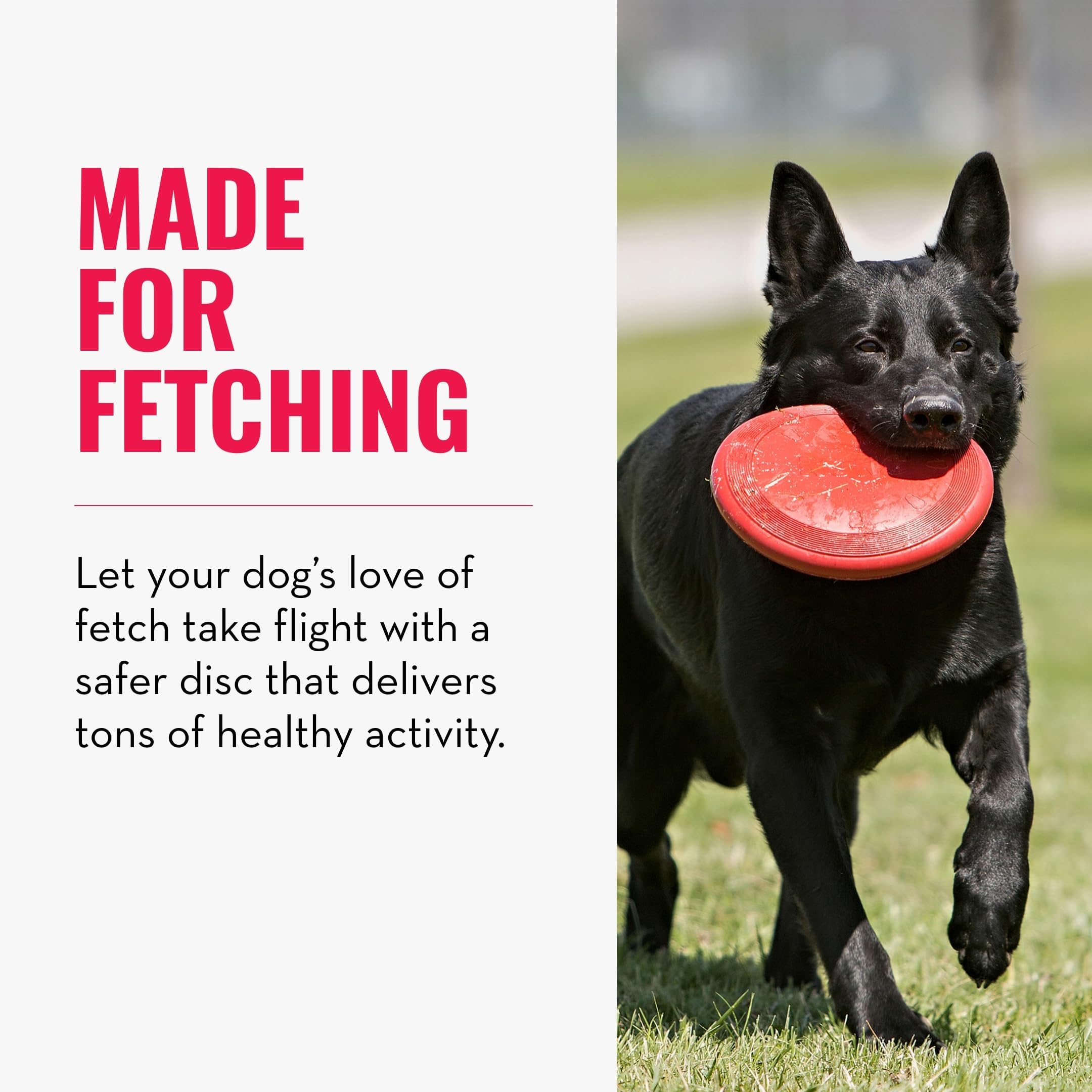 KONG Flyer - Durable Dog Toy for Outdoor Playtime - Natural Rubber Flying Disc, Dog Toy for Fetch - Safer Disc for Healthy Activ