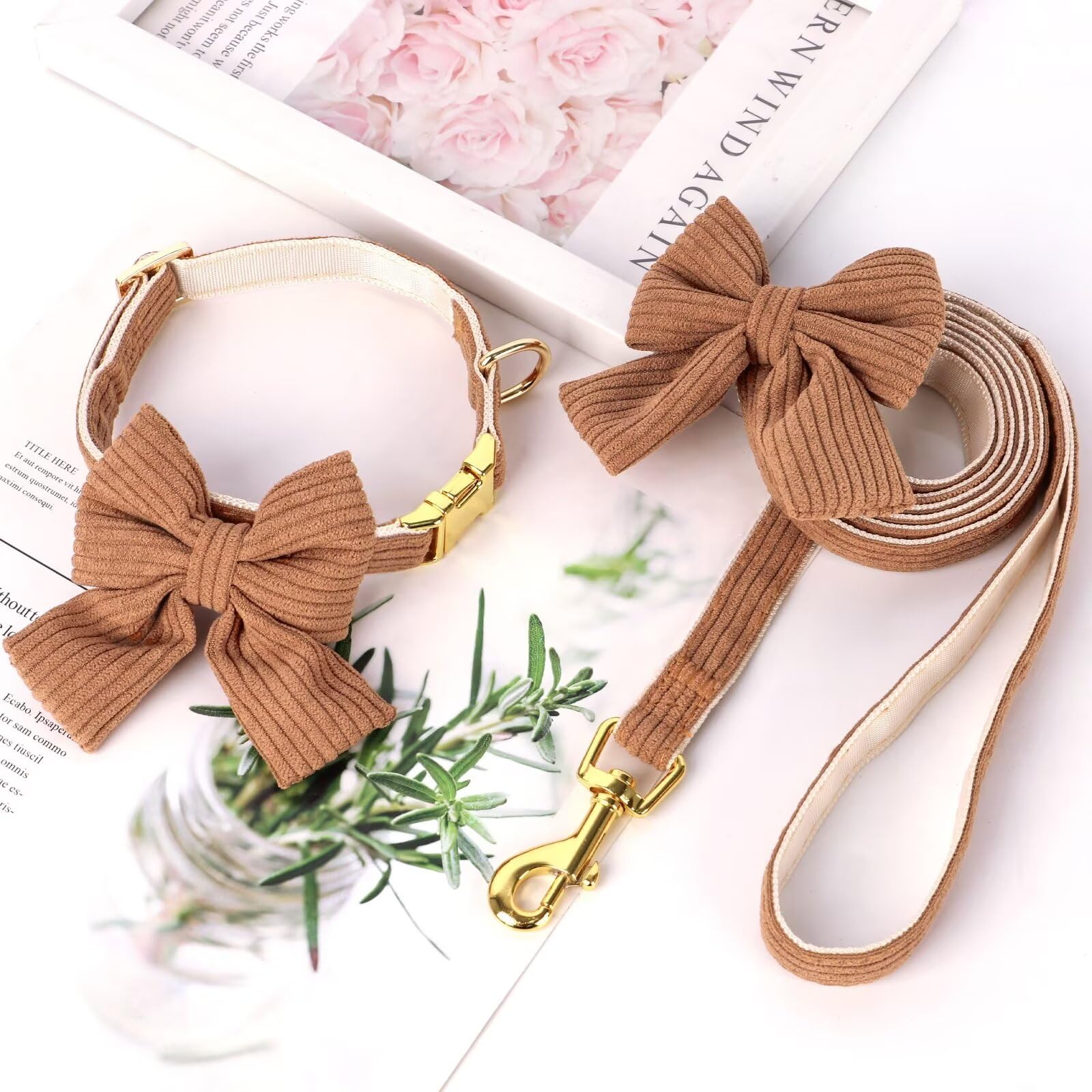 Didog Dog Collar And Leash Set With Bowtie, Girl Dog Collars Metal Buckle Adjustable For Small Medium Dogs(Brown, S)