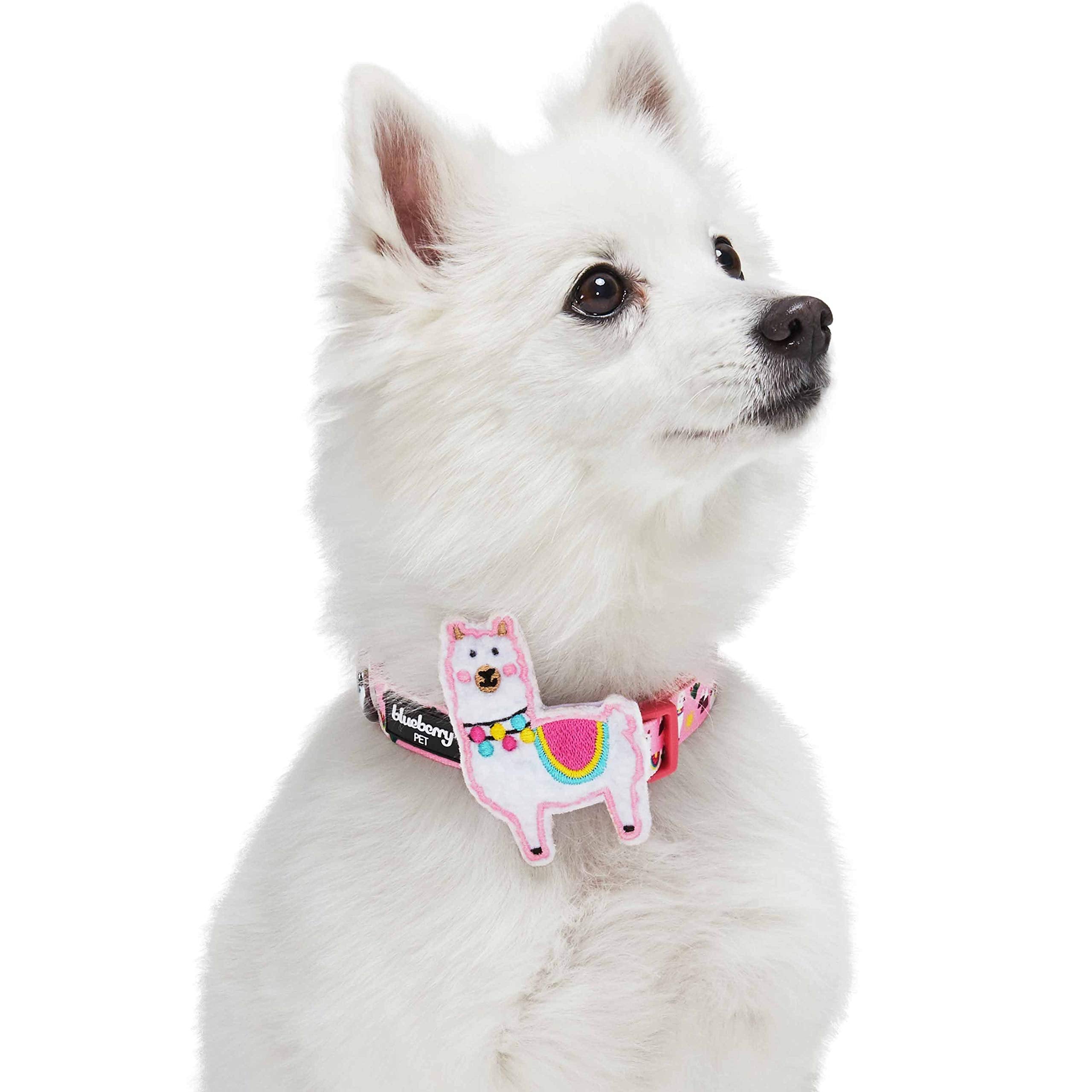 Blueberry Pet Happy Llamas Adjustable Dog Collar With Detachable D  Cor, Small, Neck 12''-16''
