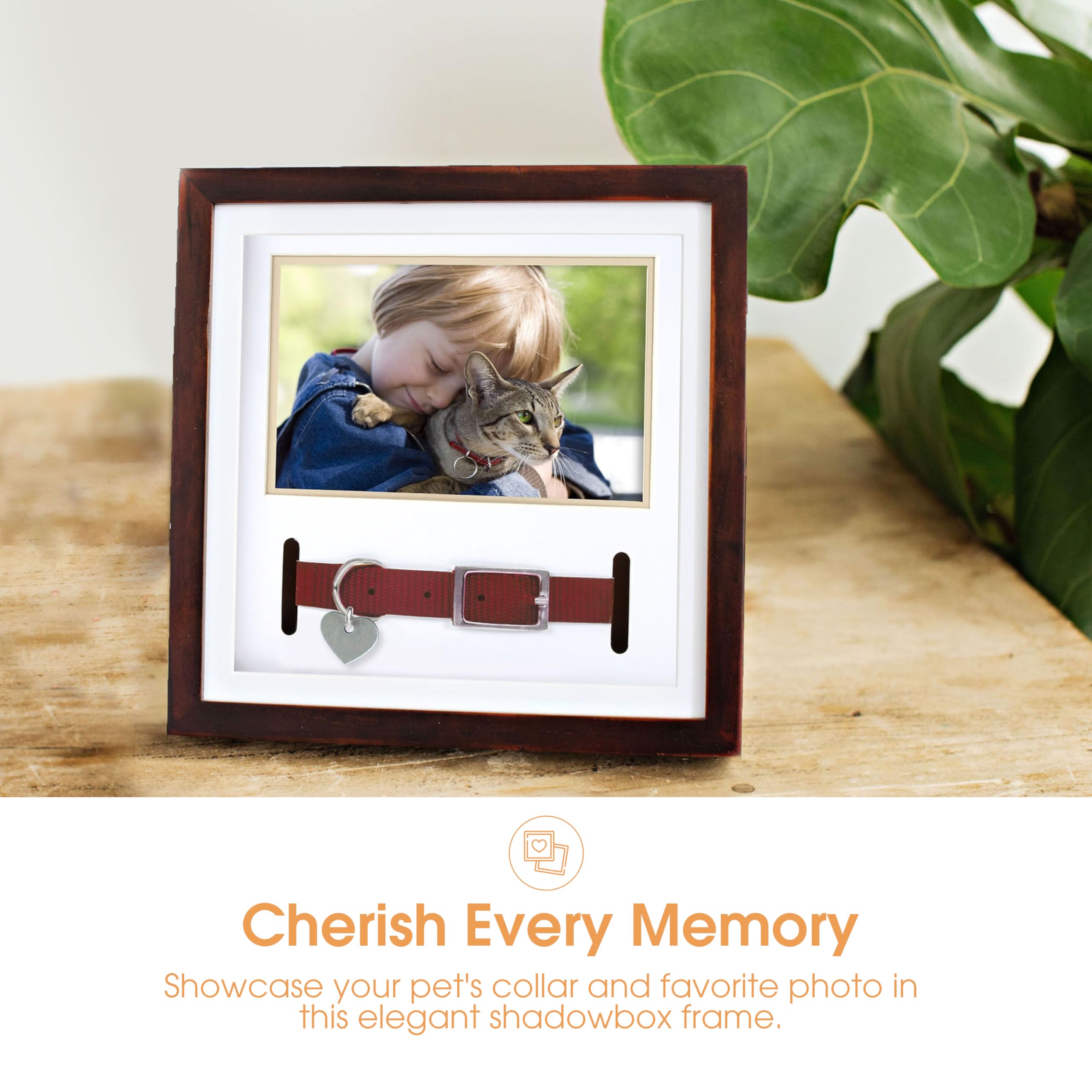Pearhead Pet Collar Keepsake Frame - Dual Display Memorial Keepsake For Cat & Dog Collars, Wall Mount Or Tabletop, Ideal Gift And Home Decor For Pet Owners, 3' X 4.5' Photo Insert, Espresso