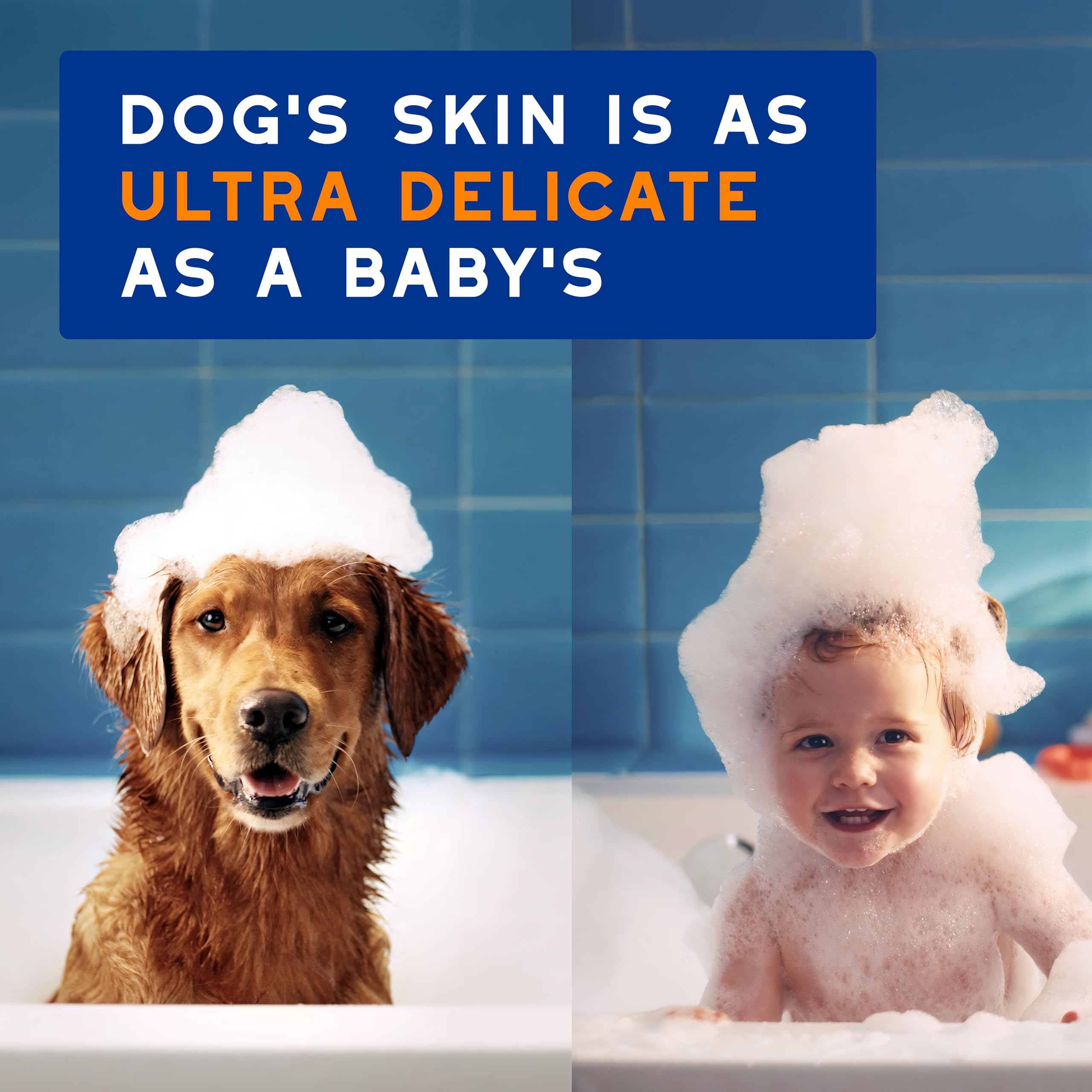 Douxo Skin & Coat Spa - Ultra-Safe 2 In 1 Conditioning Dog Shampoo, 16 Fl Oz, Cleans And Deeply Hydrates The Skin, Enhances The