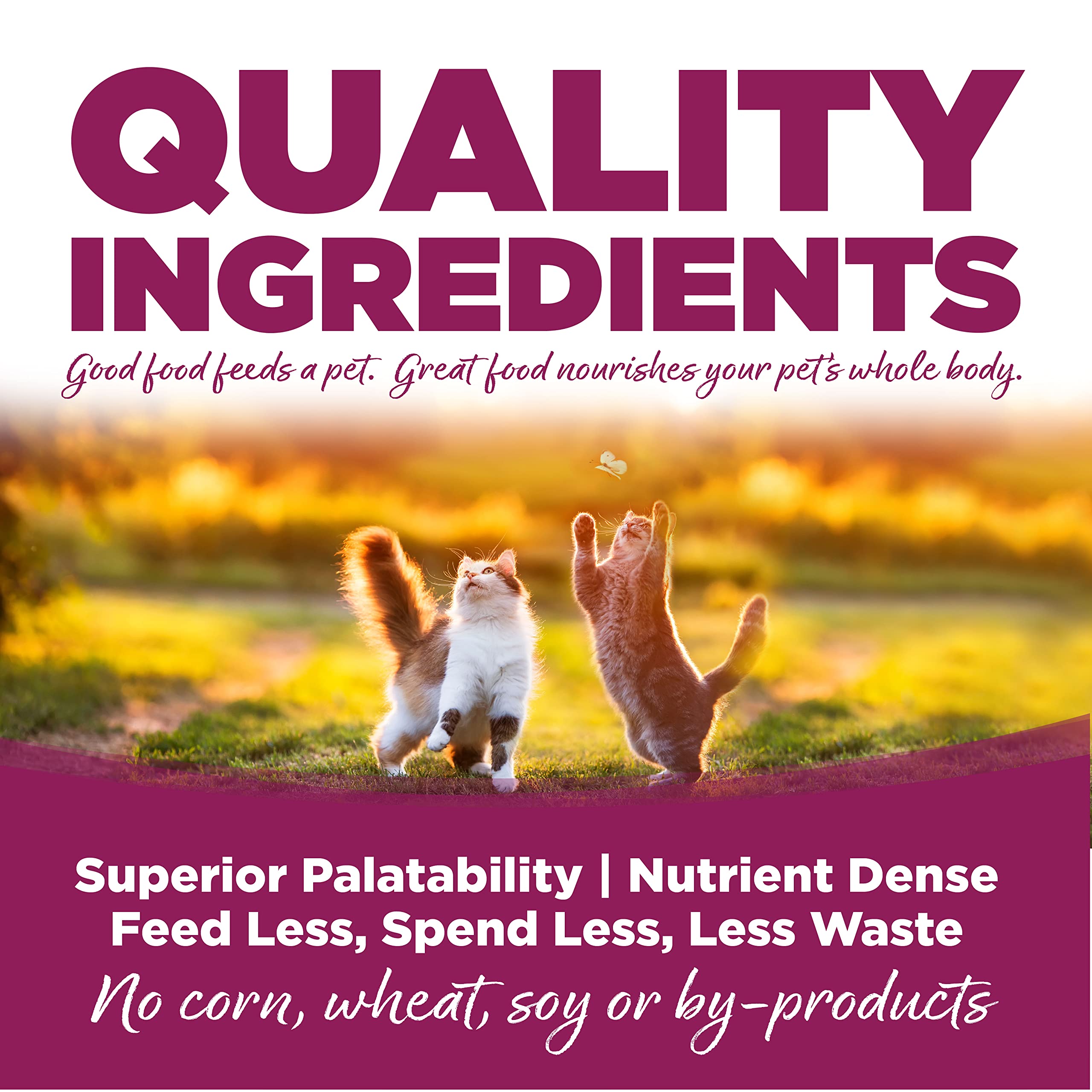 TuffyS Pet Food 131542 Nutri Cat/Kitten Chicken/Rice Dry Food, 1.5-Pound