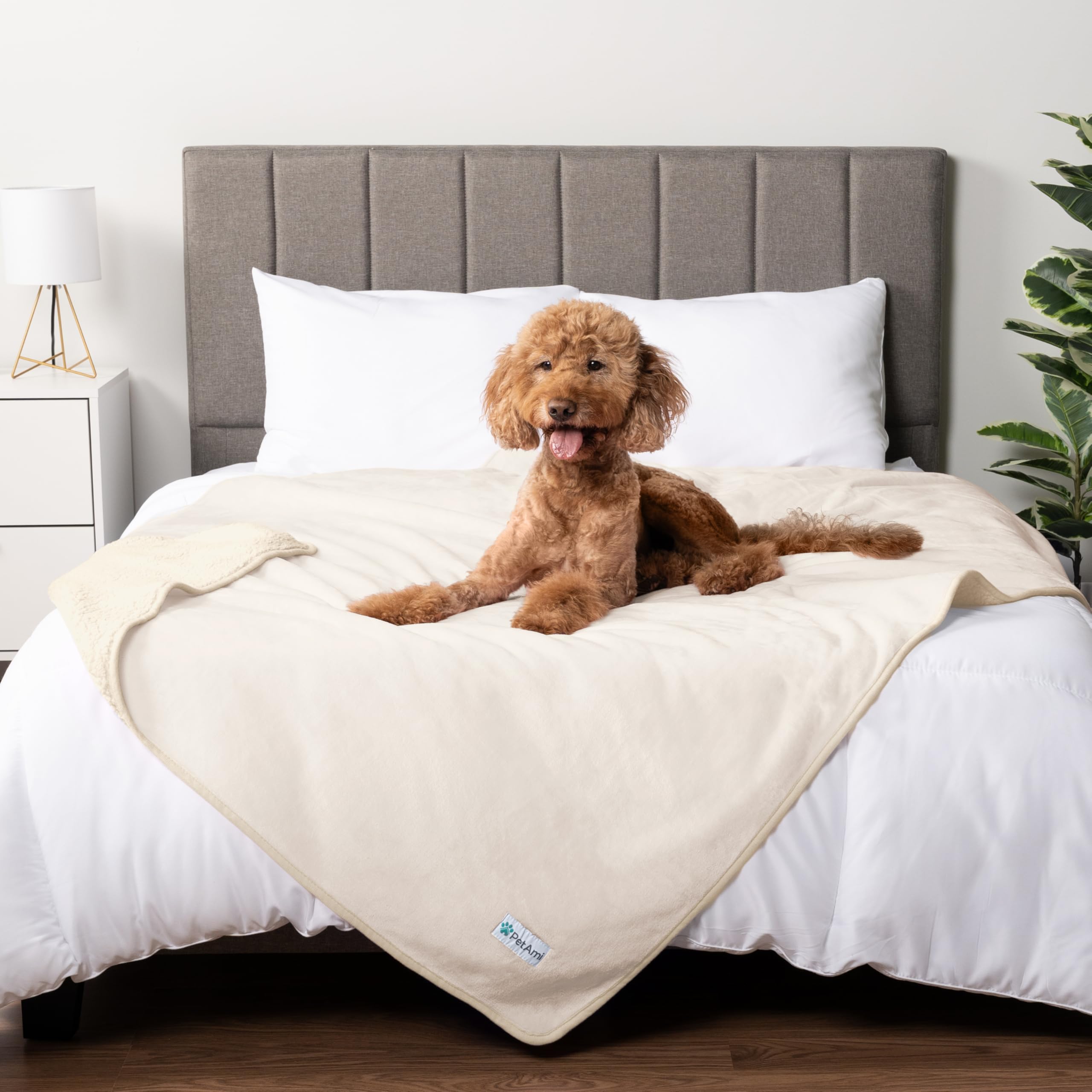 Petami Waterproof Dog Blanket For Medium Large Dogs, Pee Proof Pet Blanket For Bed Couch, Reversible Water Proof Blanket For Puppy Indoor Cat, Soft Dog Pee Crate Cover Washable, 60X80 Beige