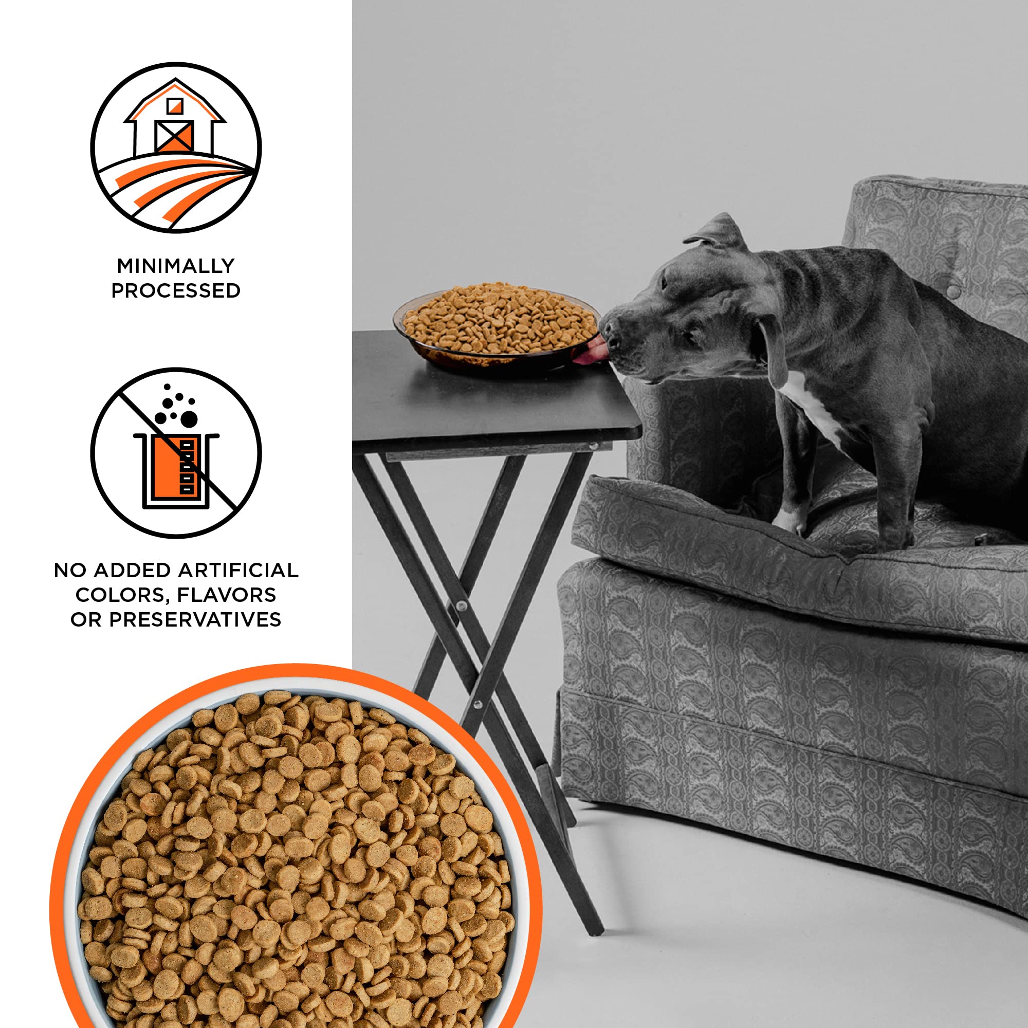 BIXBI Buckley Liberty Fresh Grain Free Chicken Recipe Dry Dog Food, 4 Pound - 6 per case