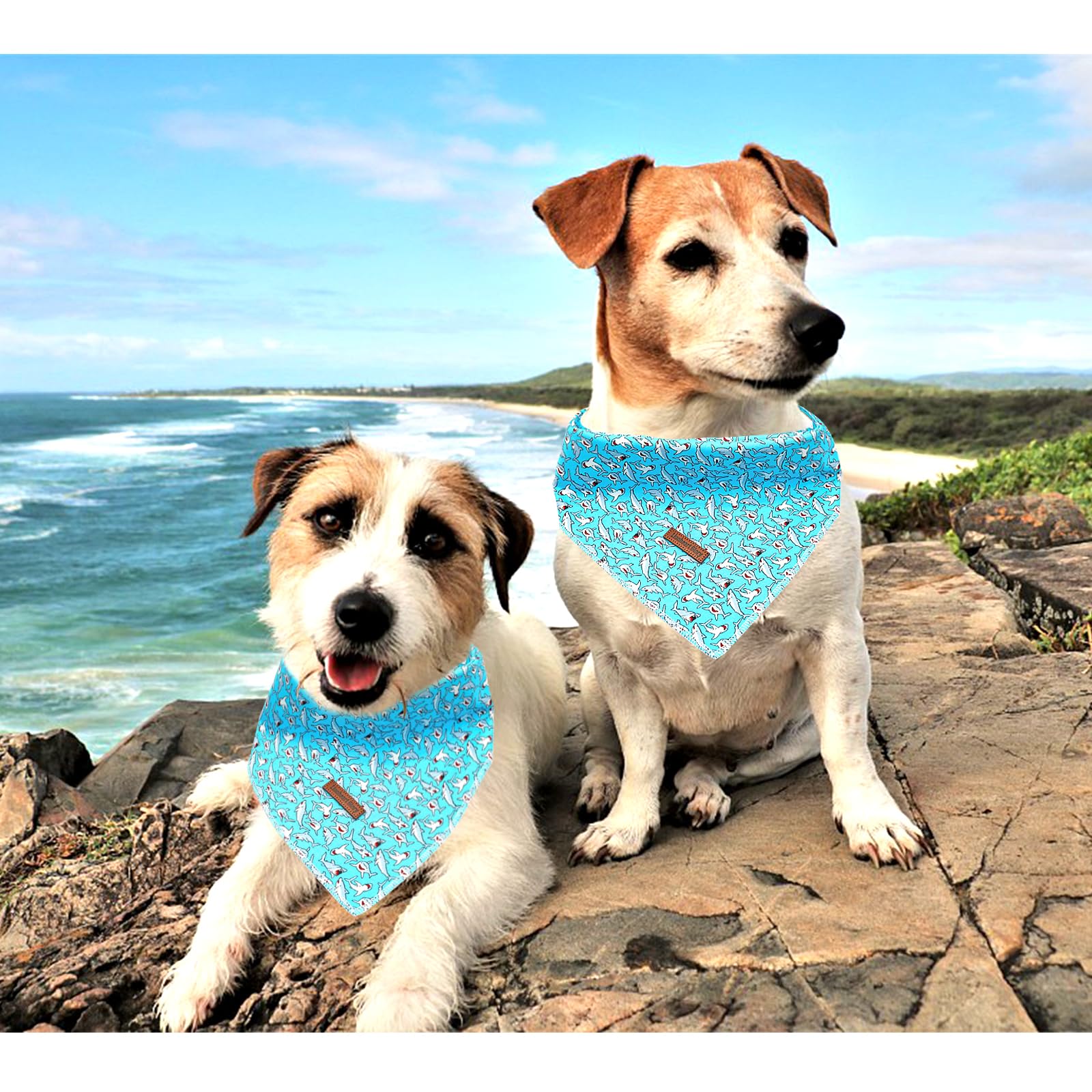 Lionheart Glory Bandana - Washable Soft Blue Scarf With Shark Print, Adjustable For Small Medium Large Dogs