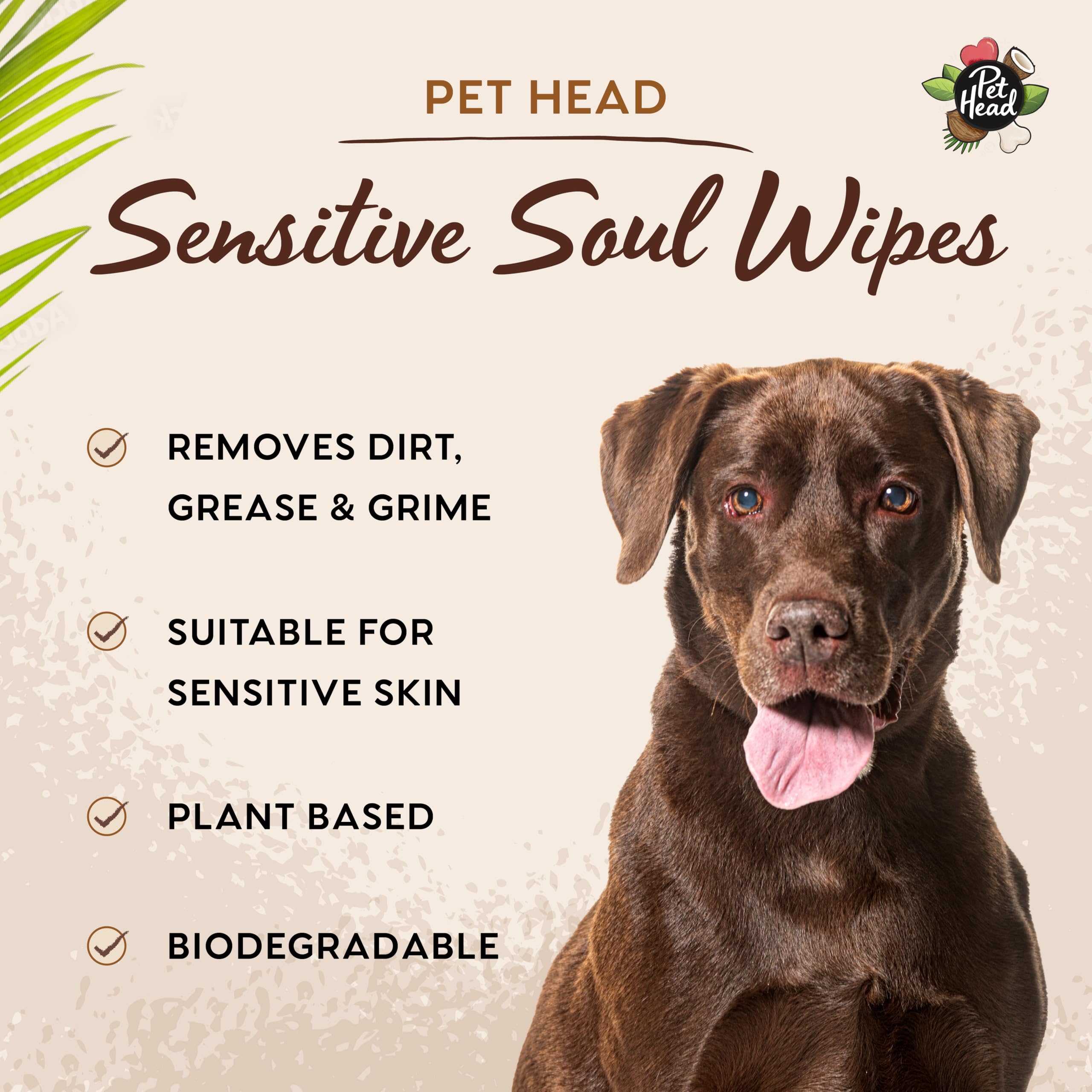 Pet Head Sensitive Soul Dog & Cat Wipes For Paws, Body & Face | Coconut Scent With Aloe Vera | Biodegradable, Plant-Based And Pl