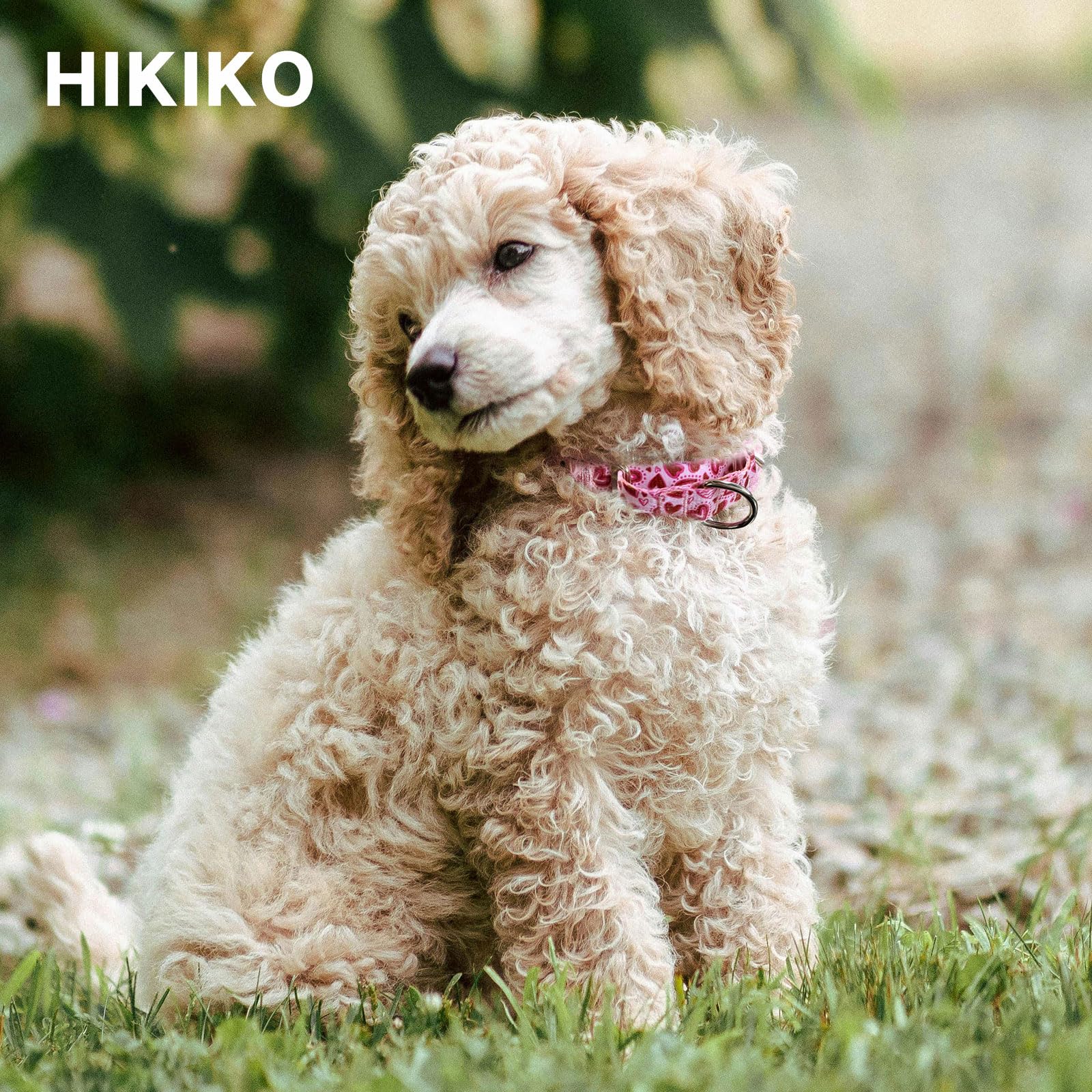 Hikiko Pink Heart Martingale Dog Collar With No Buckle Pretty Cute Valentines Dog Collar For Small Dogs,Love,S