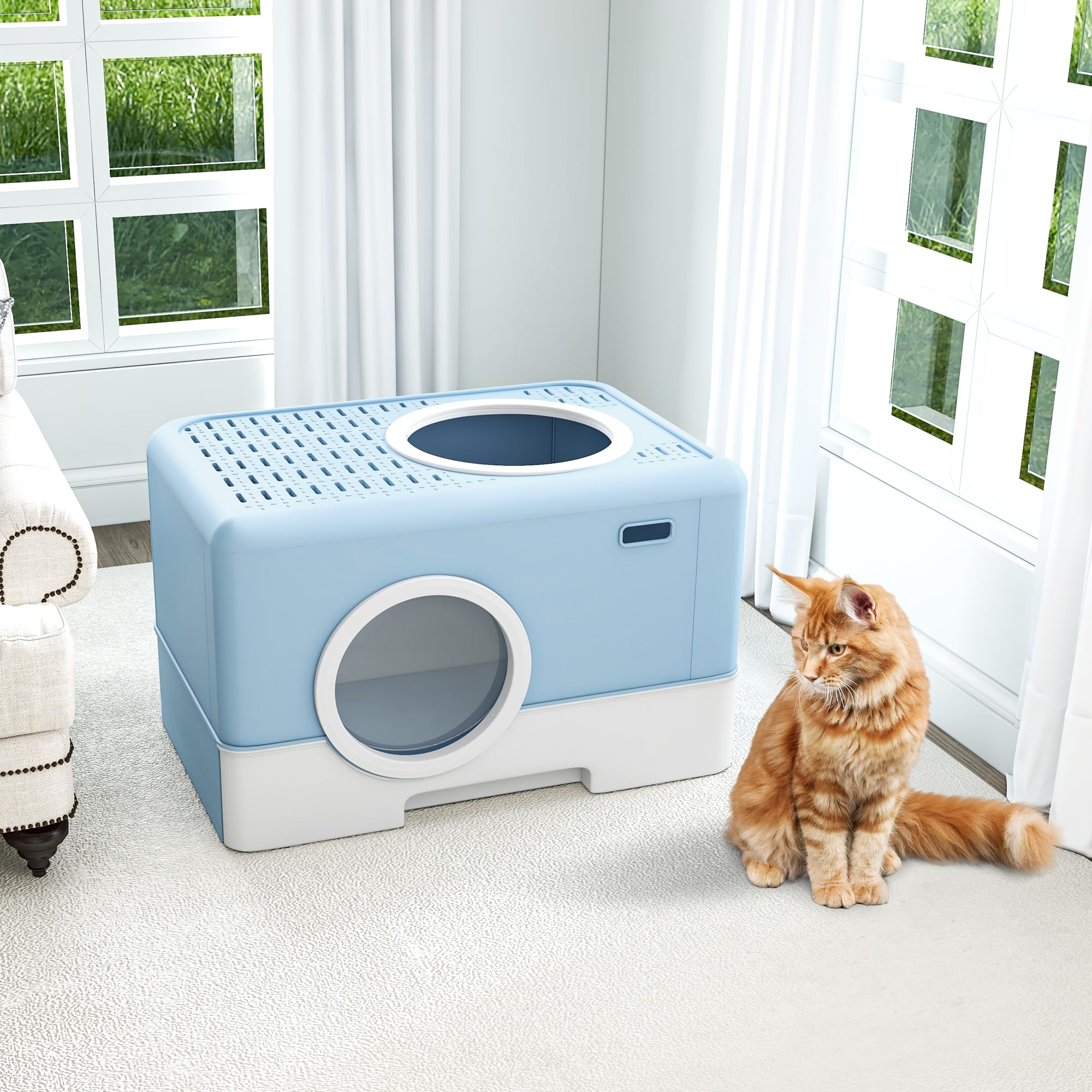 Dwvo Enclosed Cat Litter Box With Two-Way Entry/Exit, Large Hooded Anti-Splash Cat Toilet With Lid, Hidden Litter Scoop - Blue
