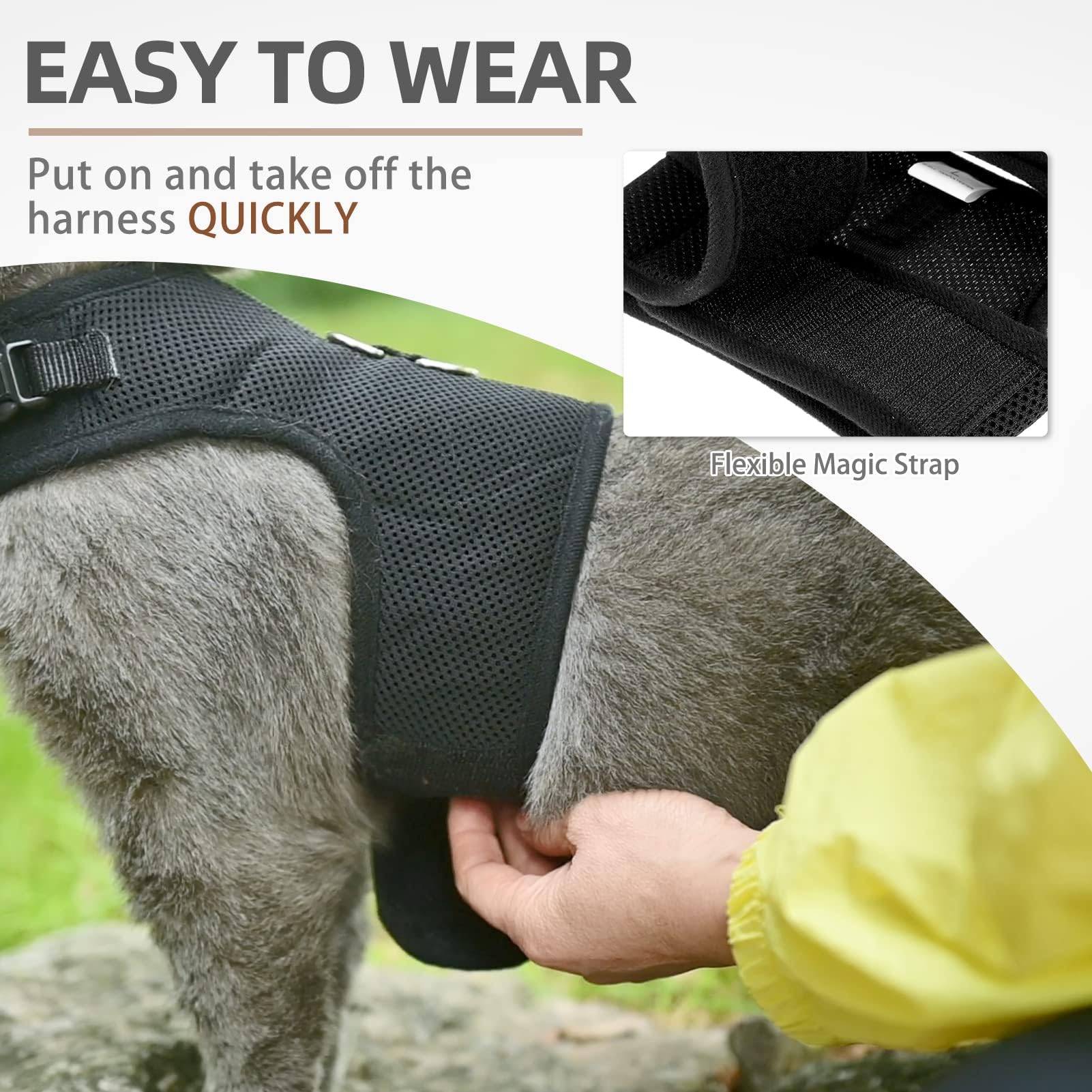 Pupteck Soft Mesh Cat Vest Harness And Leash Set Puppy Padded Pet Harnesses Escape Proof For Cats Small Dogs Rabbits Bunny(Small, Black)
