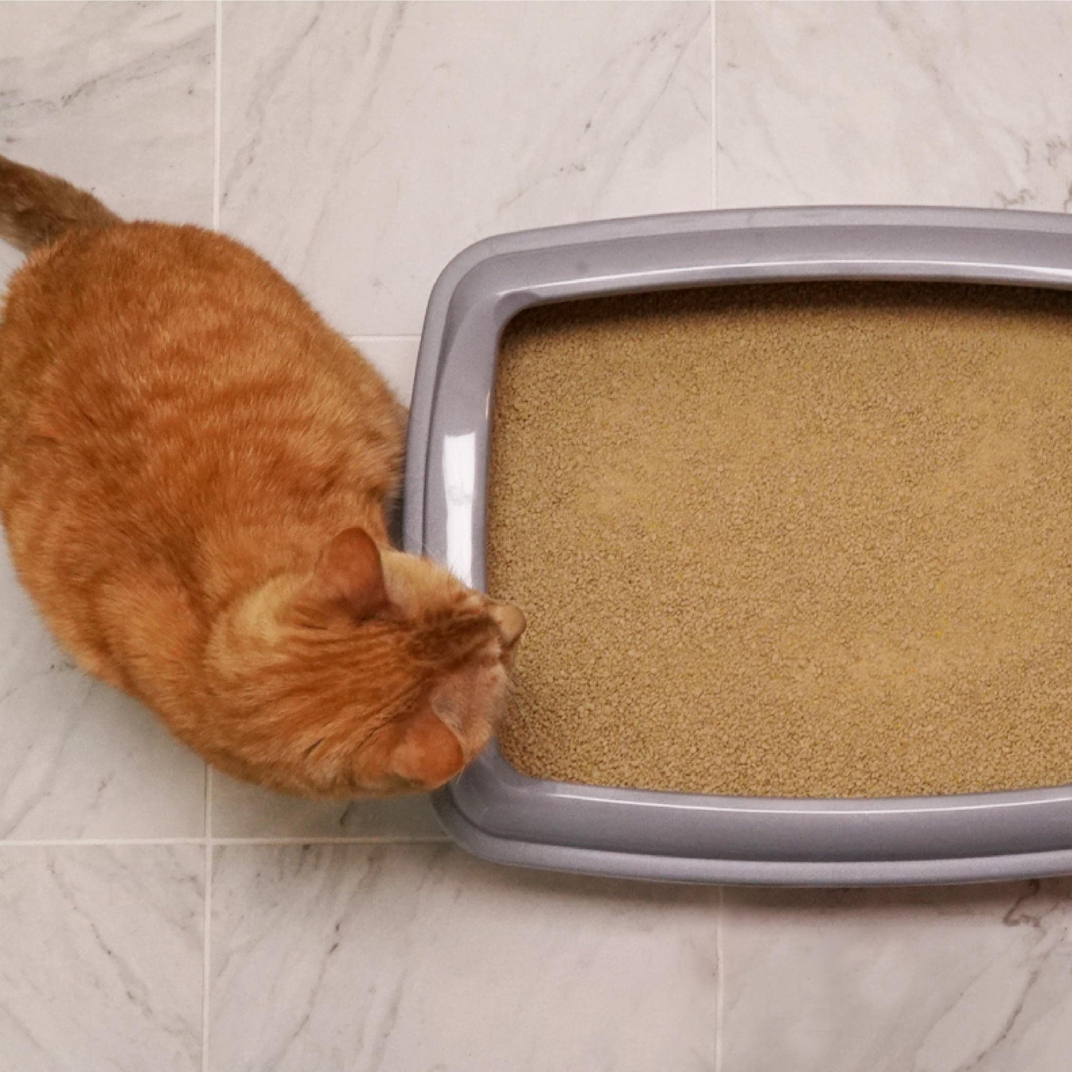 WORLDS BEST CAT LITTER Multiple Cat Lotus Blossom Scented 15-Pounds - Natural Ingredients, Quick Clumping, Flushable, 99% Dust