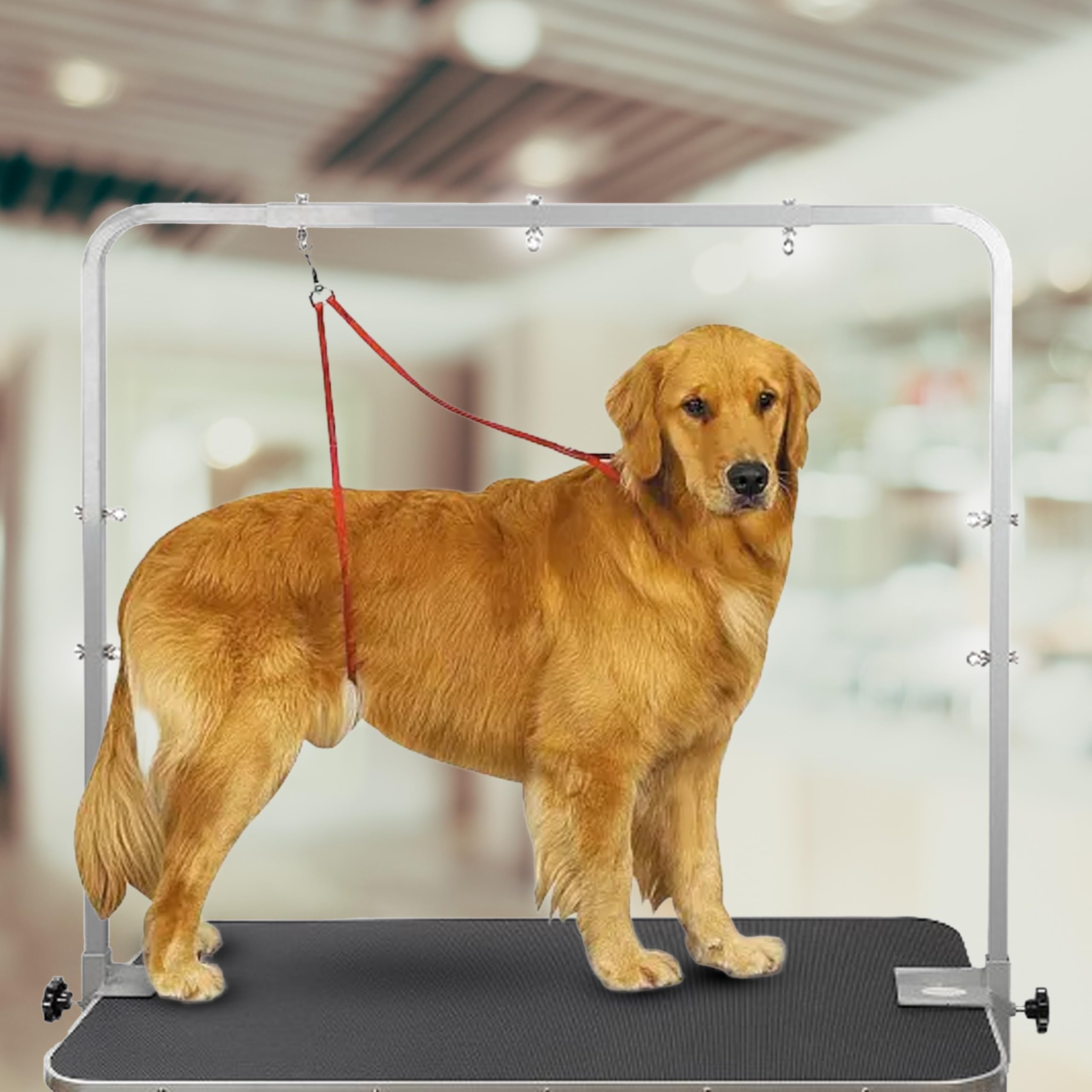 Groomer Essentials Overhead Arm & Clamps