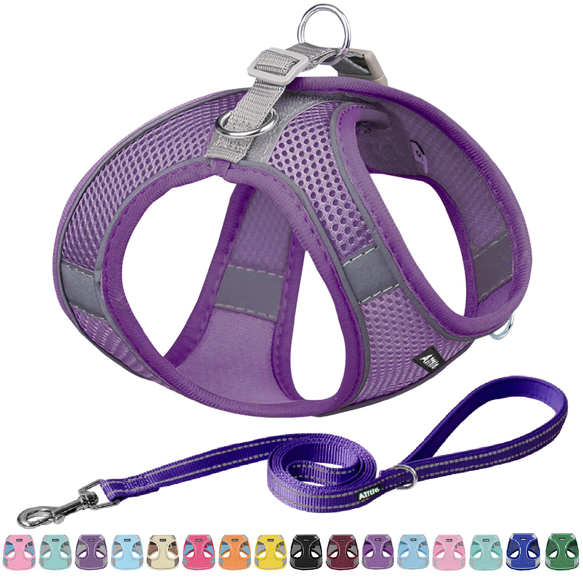 Aiitle Easy Walk Dog Harness And Leash Set - No Pull, Step In Adjustable Dog Harness With Padded Vest, Pure Purple, L