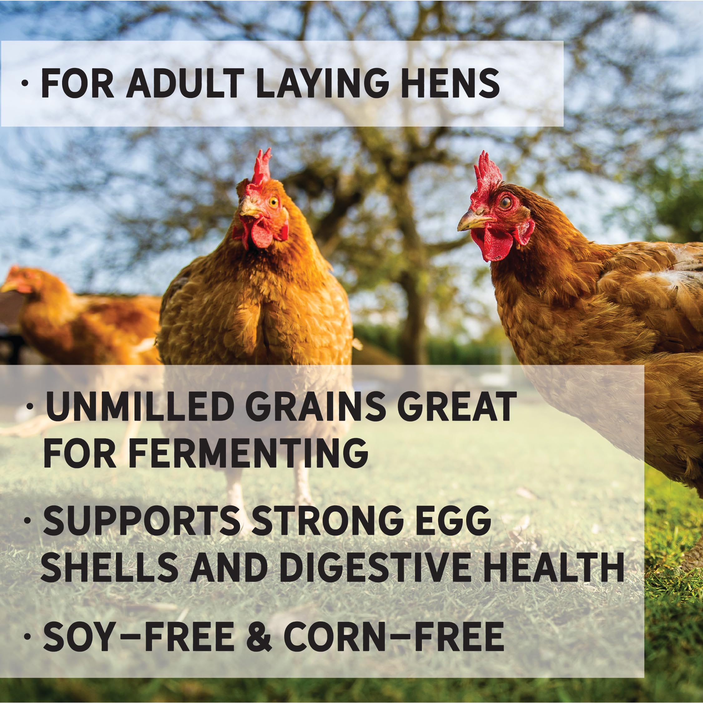 New Country Organics | Unmilled Layer Feed for Laying Hens | Soy-Free | 17% Protein | Certified Organic and Non-GMO | Great for