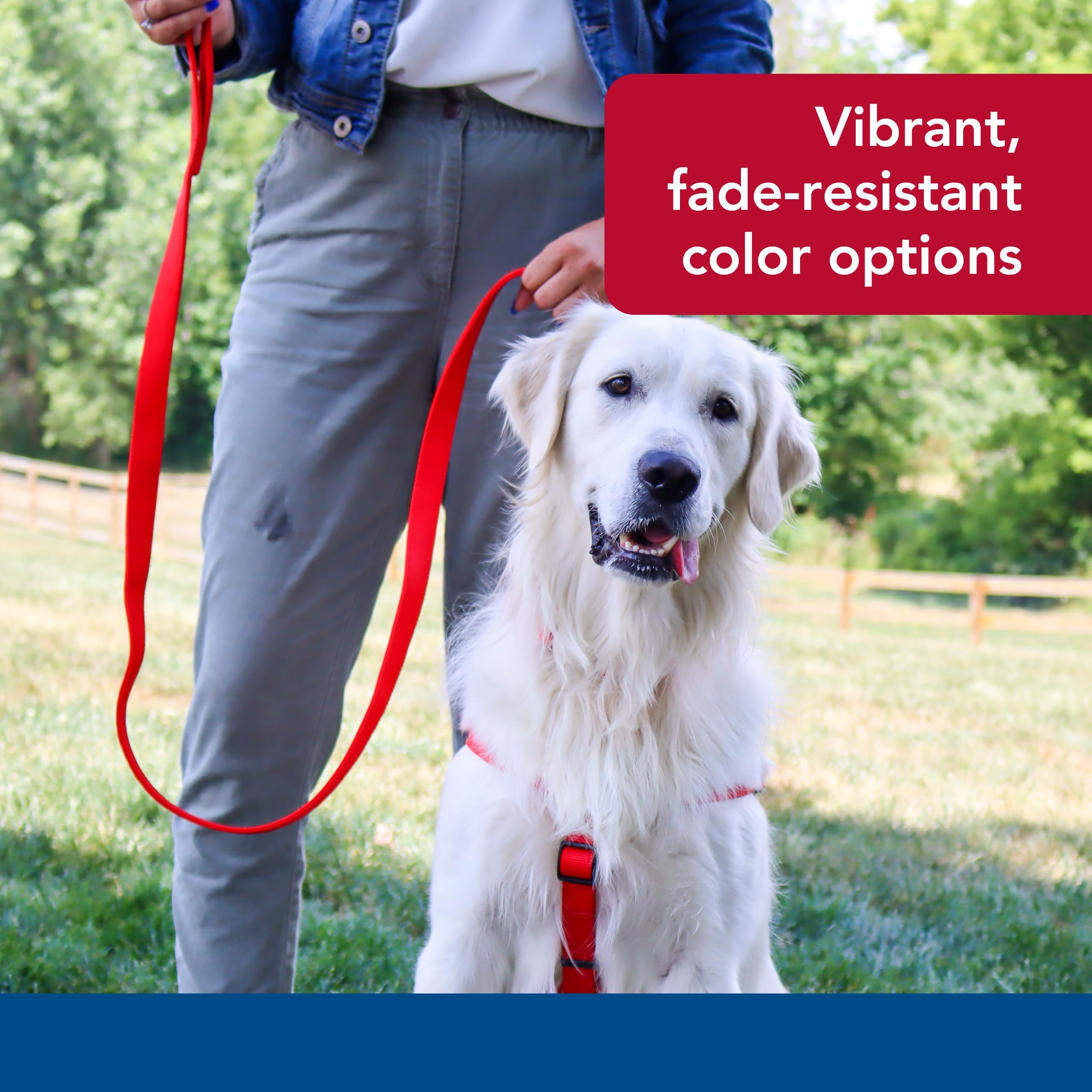 Coastal Pet Double-Ply Dog Leash - Bolt Snap Attachment To Collars And Harnesses - Nylon Dog Walking Leash For Small, Medium And Large Dogs - Red - 1' X 4'