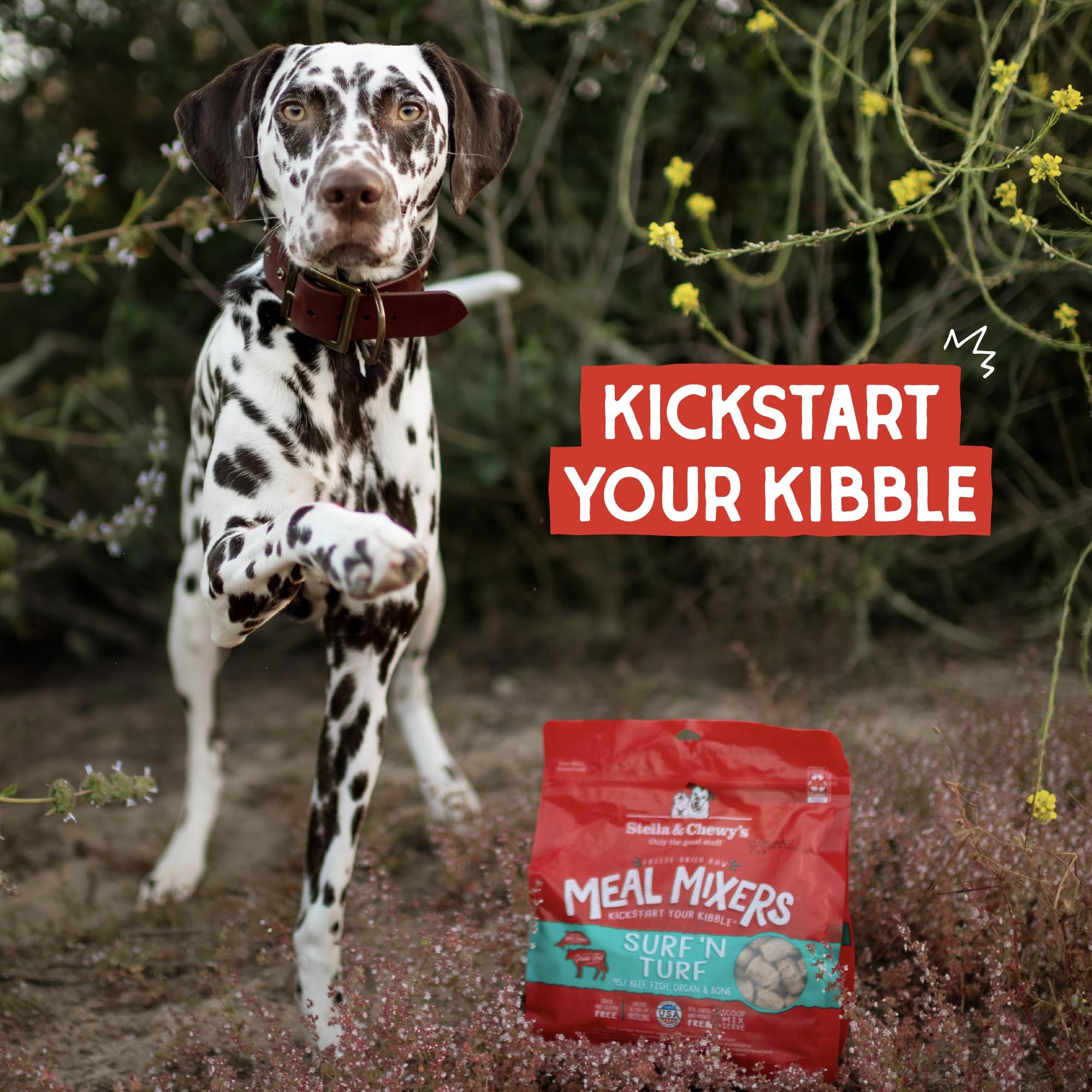 Stella & Chewys Freeze Dried Raw Surf & Turf Meal Mixer - Dog Food Topper for Small & Large Breeds - Grain Free, Protein Rich R