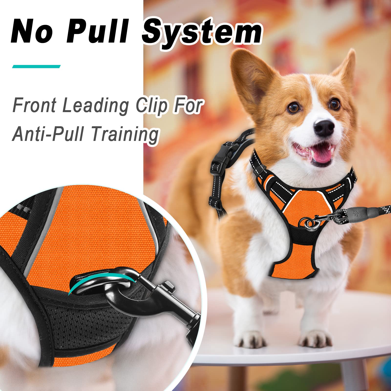 Barkbay No Pull Dog Harness Large Step In Reflective Dog Harness With Front Clip And Easy Control Handle For Walking Training Running(Orange,L)
