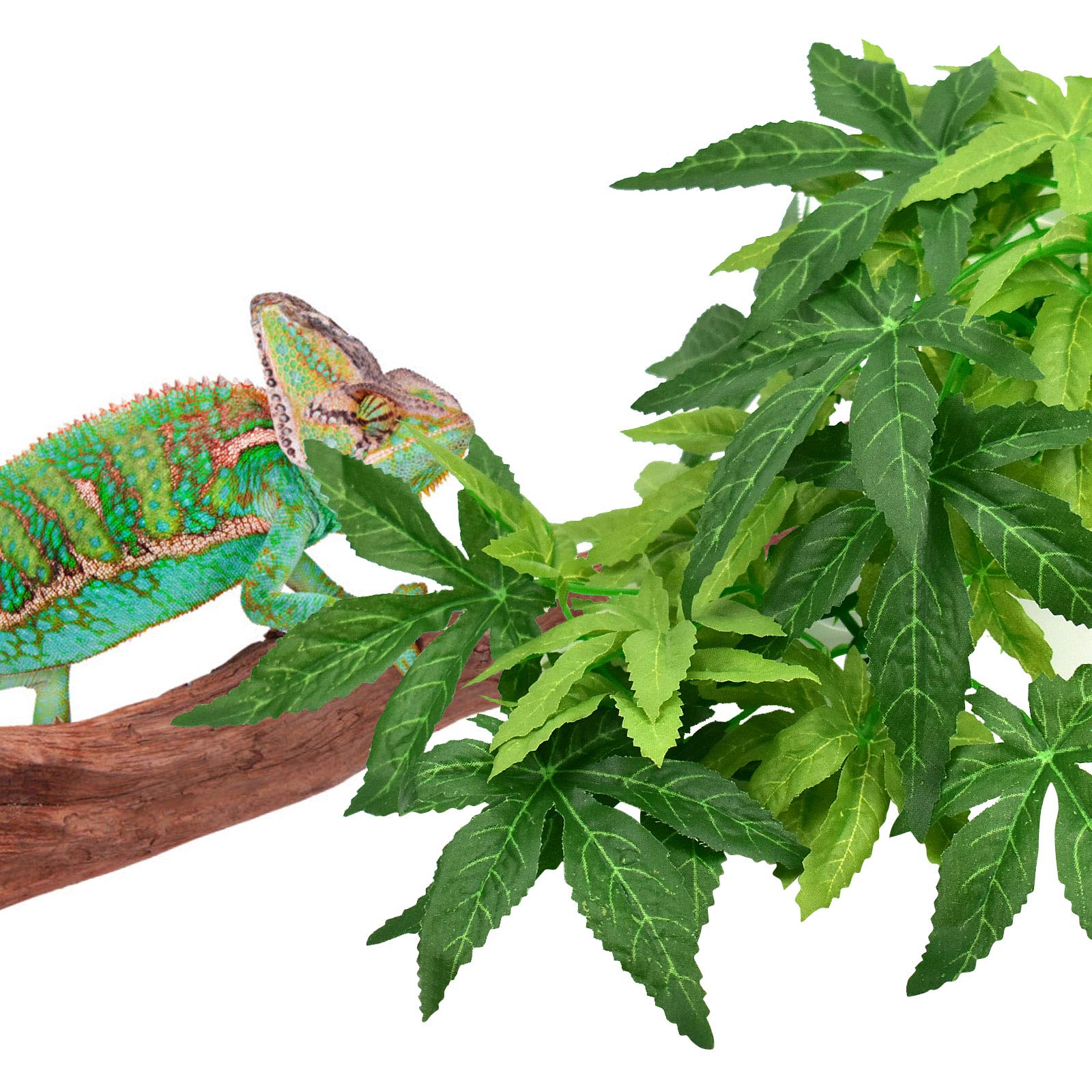Katumo Reptile Plants, Amphibian Hanging Plants With Suction Cup For Snake, Bearded Dragons, Lizards, Geckos, Toads, Hermit Crab Tank Pets Habitat Decorations