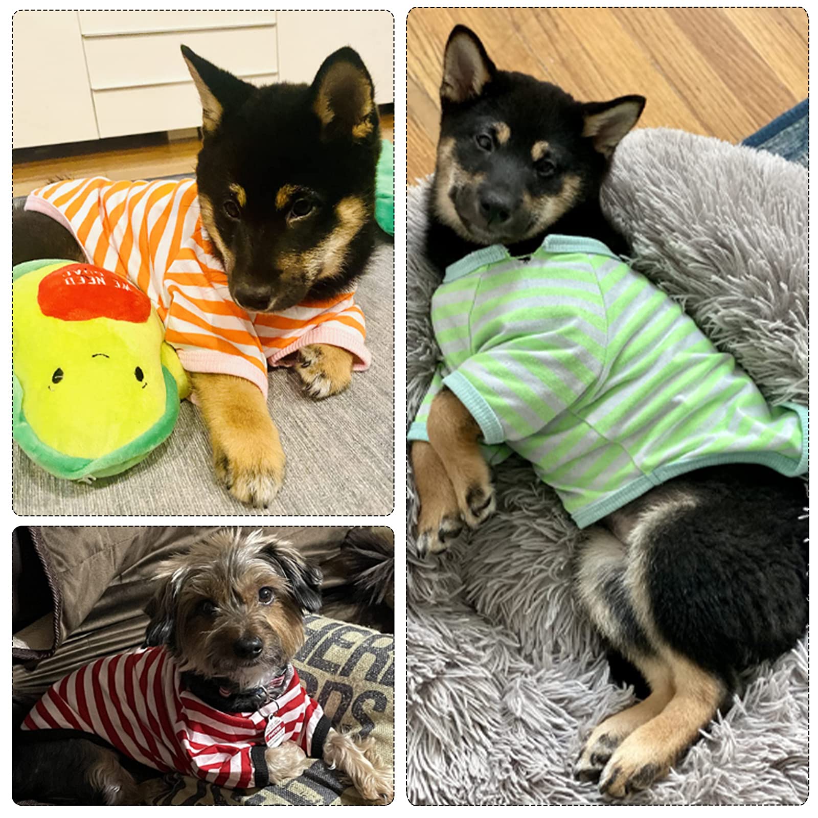 Geyoga 6 Pieces Dog Striped T-Shirt Dog Shirt Breathable Pet Apparel Colorful Puppy Sweatshirt Dog Clothes For Small To Medium Dogs Puppy (Xl)
