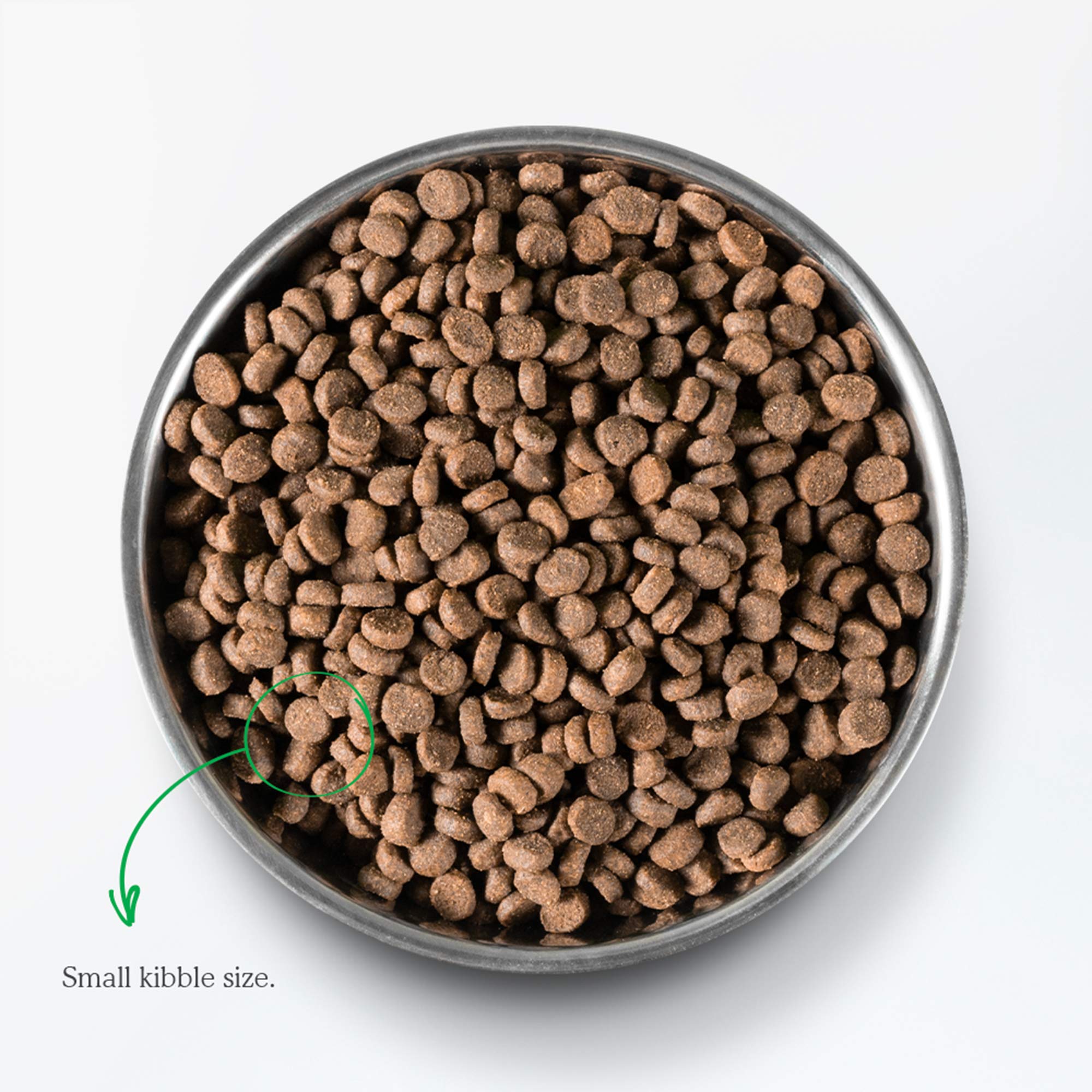 Open Farm Wild-Caught Salmon Grain-Free Dry Cat Food, Responsibly Sourced Pacific Salmon Recipe with Non-GMO Superfoods and No A