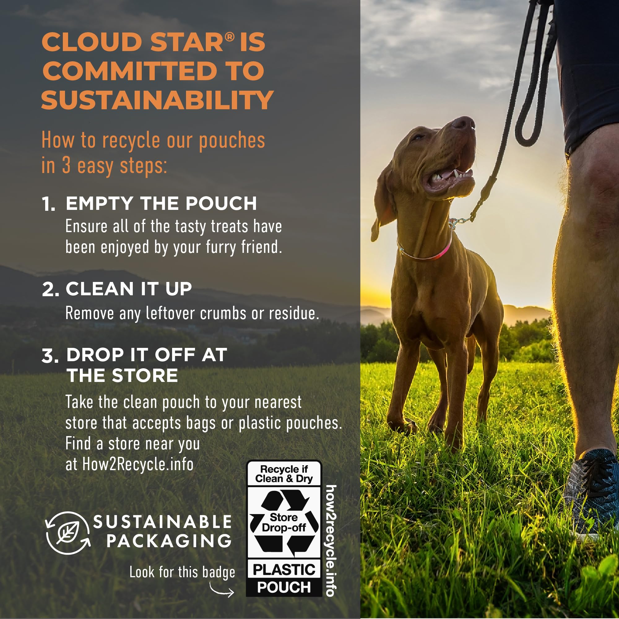 Cloud Star Tricky Trainers Soft & Chewy Dog Training Treats 12 oz Pouch, Peanut Butter Flavor, Grain-Free Low Calorie Behavior A