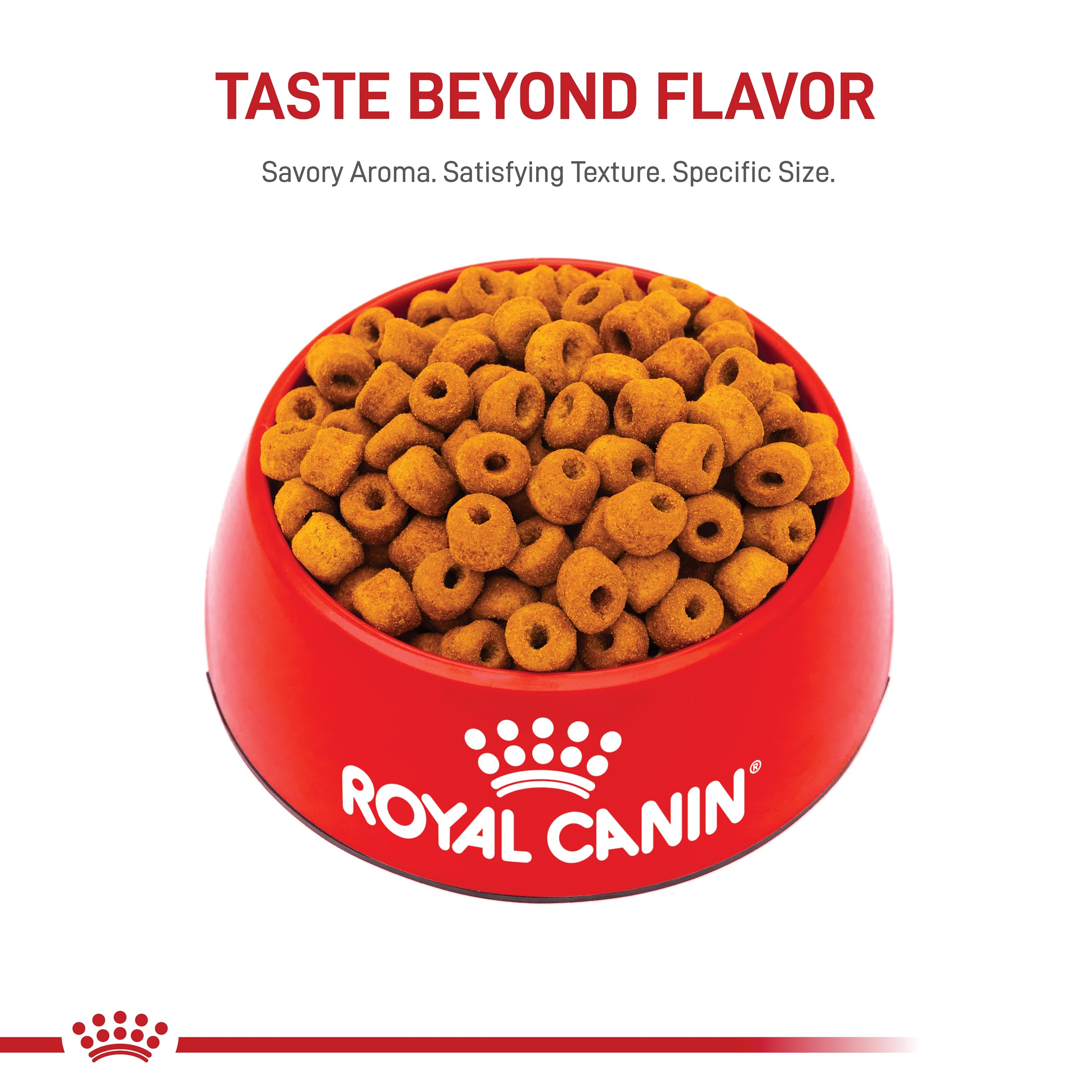 Royal Canin Labrador Retriever Adult Dry Dog Food, 30 lb bag