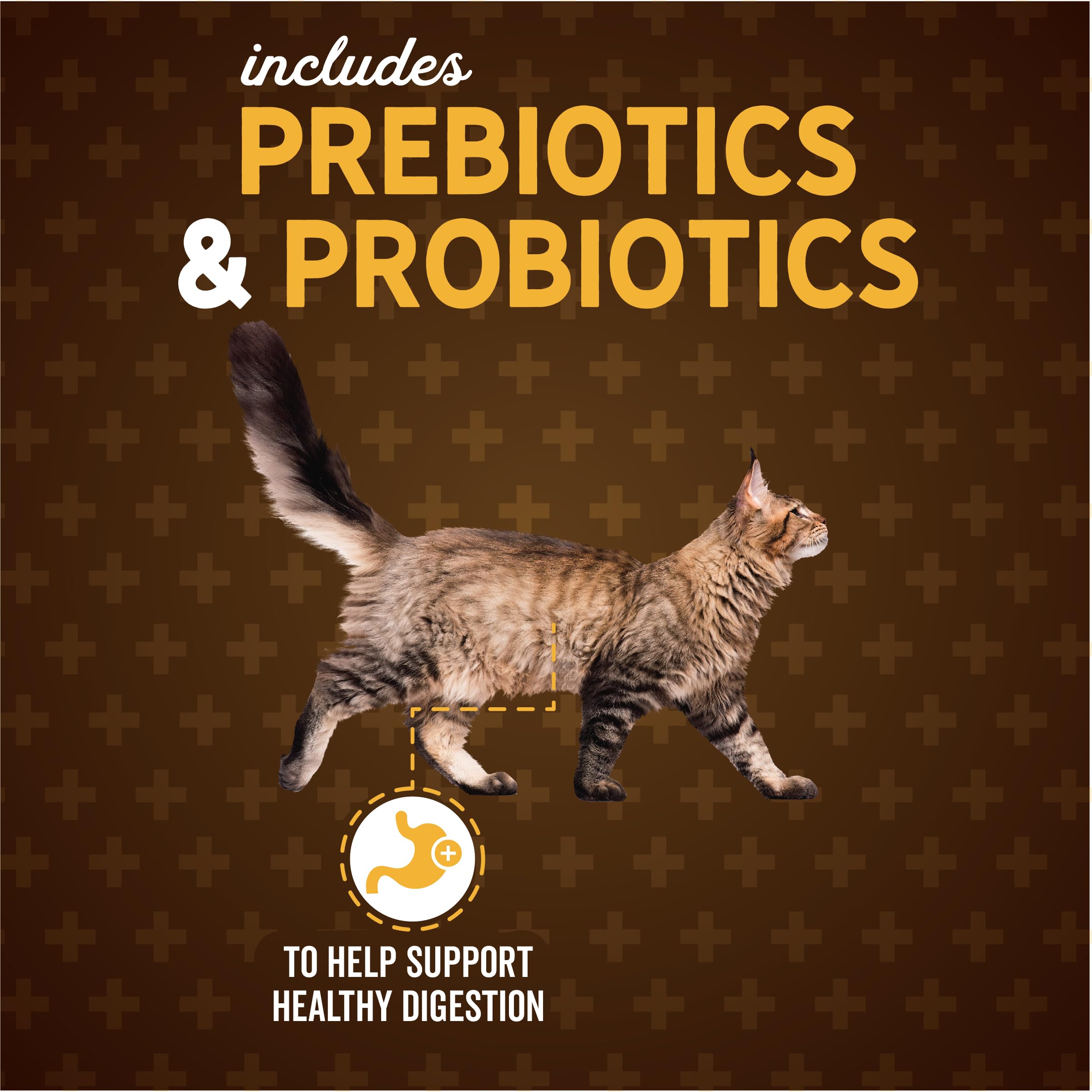 Evolve Classic Deboned Chicken and Brown Rice Recipe Cat Food, 15lb