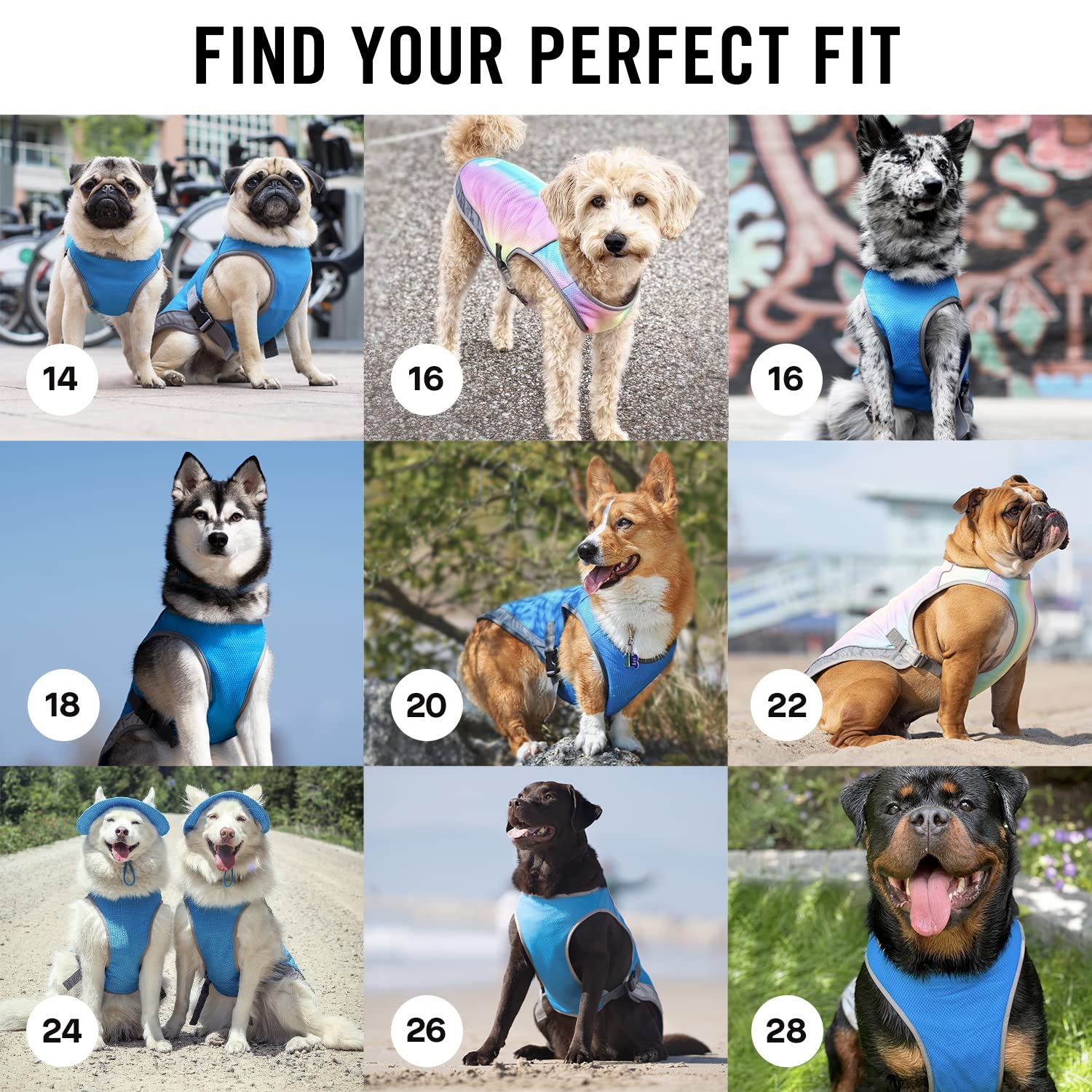 Canada Pooch Dog Cooling Vest - Evaporative Cooling Vest For Dogs With Breathable Mesh Material & Reflective Lining, Adjustable Dog Cooling Vest Great For Dogs (28 (27-29' Back Length), Aqua)