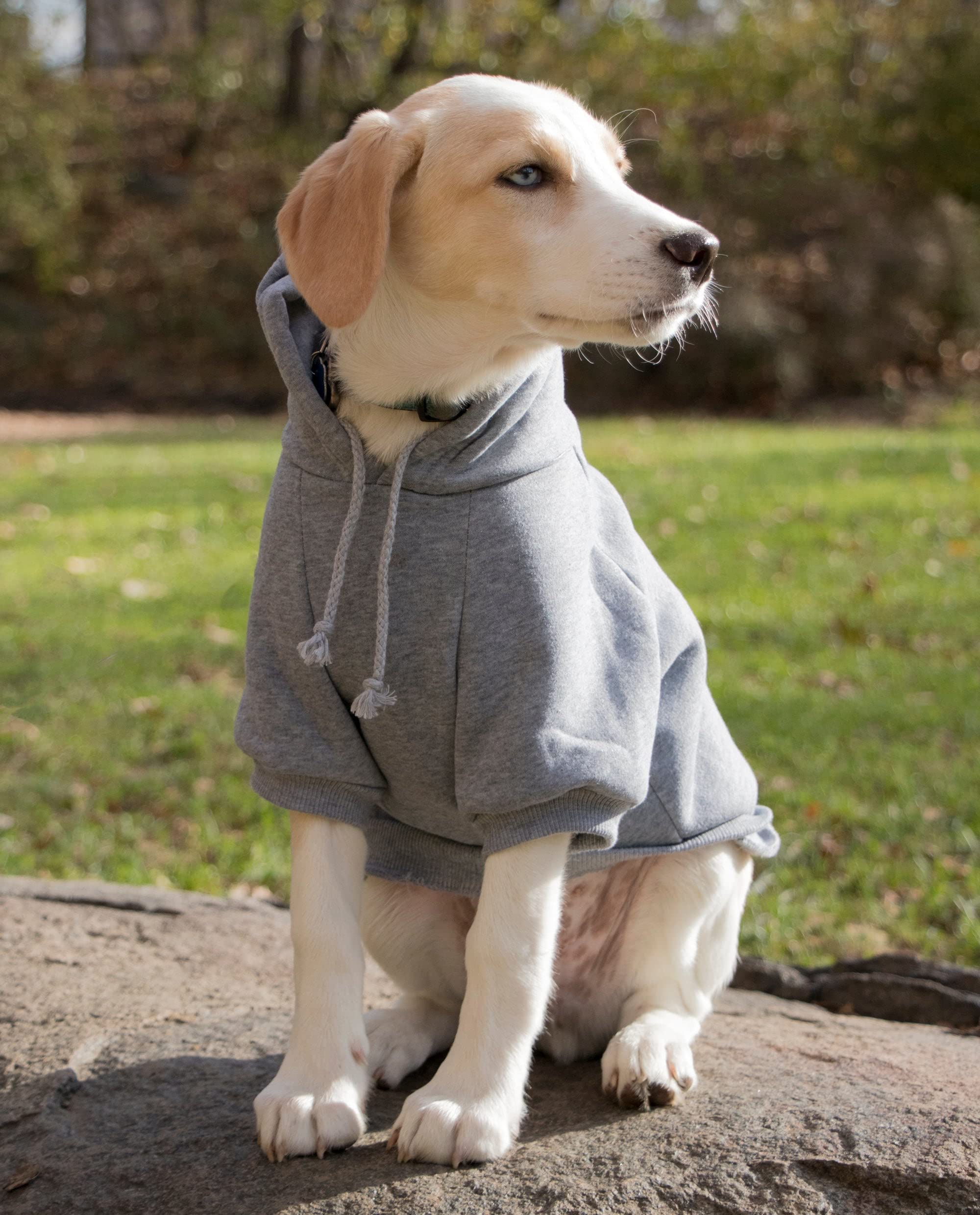 Pet Life ® Hooded Dog Sweater Made With Soft And Premium Plush Cotton - Dog Hoodie Pet Sweater Features Hook-And-Loop Closures For Easy Access And Machine Washable Grey
