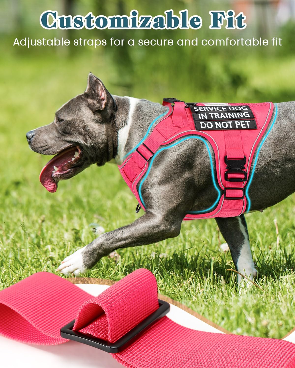Pink Service Dog In Training Vest Harness For Medium Large Dogs, Reflective Adjustable Heavy Duty Padded Dog Harness, With Front