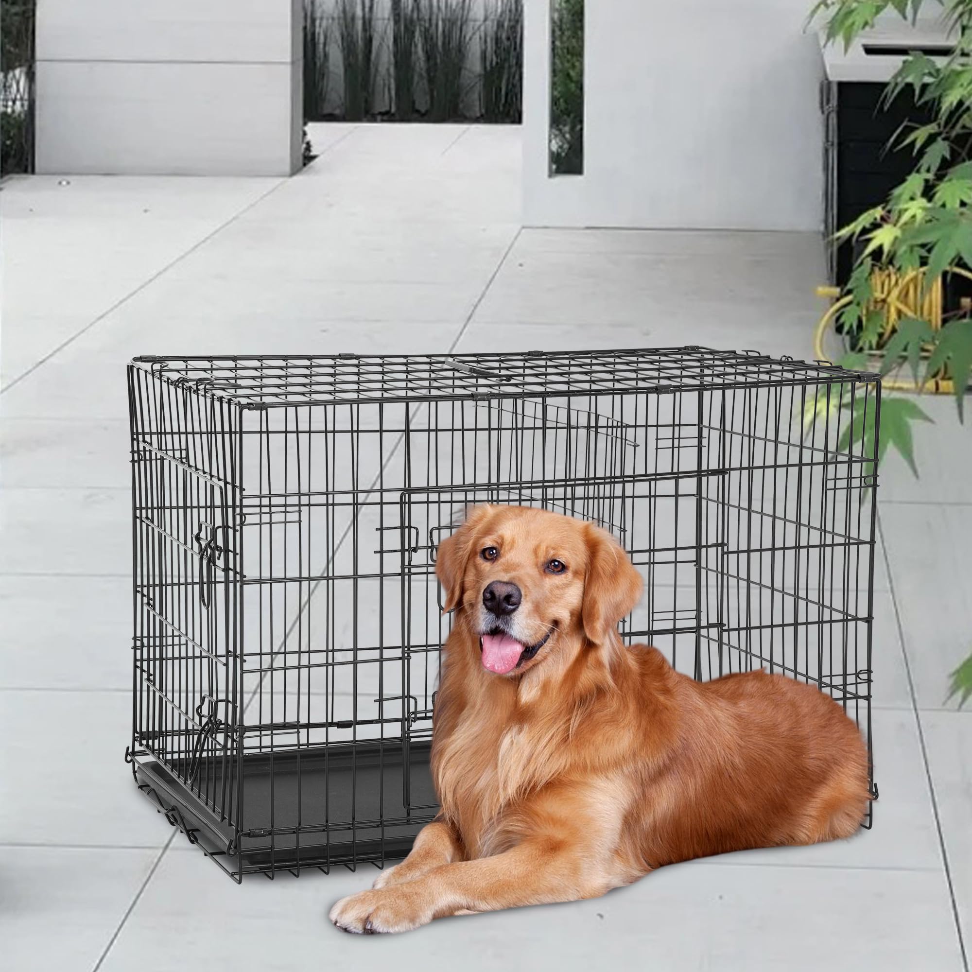FDW Dog Crate for Large Dogs, 48 Inch Folding Metal Wire Cage, Double Door, Black, with Divider Panel and Leak-Proof Tray