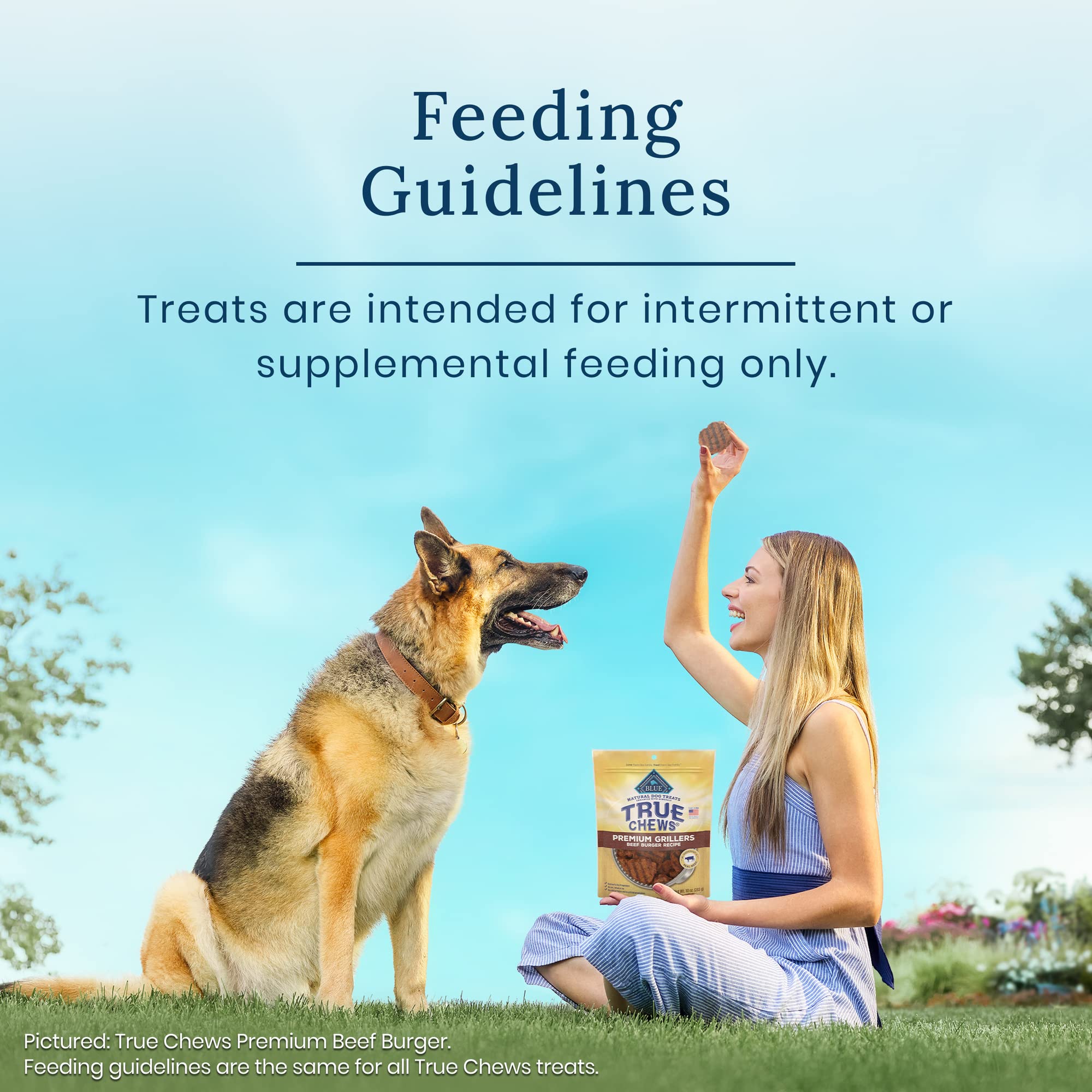 Blue Buffalo True Chews Dog Treats, Made in the USA with Natural Ingredients, Beef Burger Recipe, 10-oz Bag
