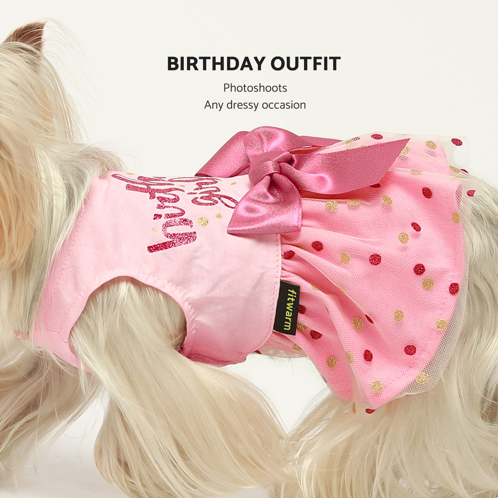 Fitwarm Birthday Girl Dog Tulle Dress, Dog Clothes For Small Dogs Girl, Cat Apparel, Pink, Small