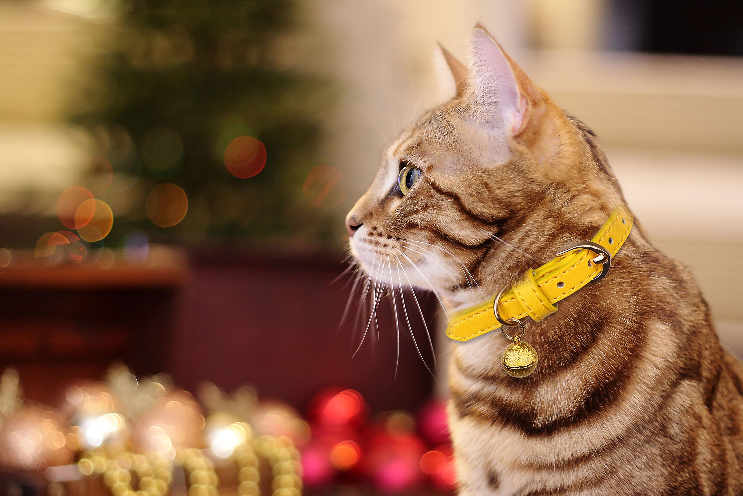 Jamktepat 3 Pack Leather Cat Collars With Bells Soft Pet Safety Collar Kitten Collars With Bell Orange Yellow Mint Green(Xs)