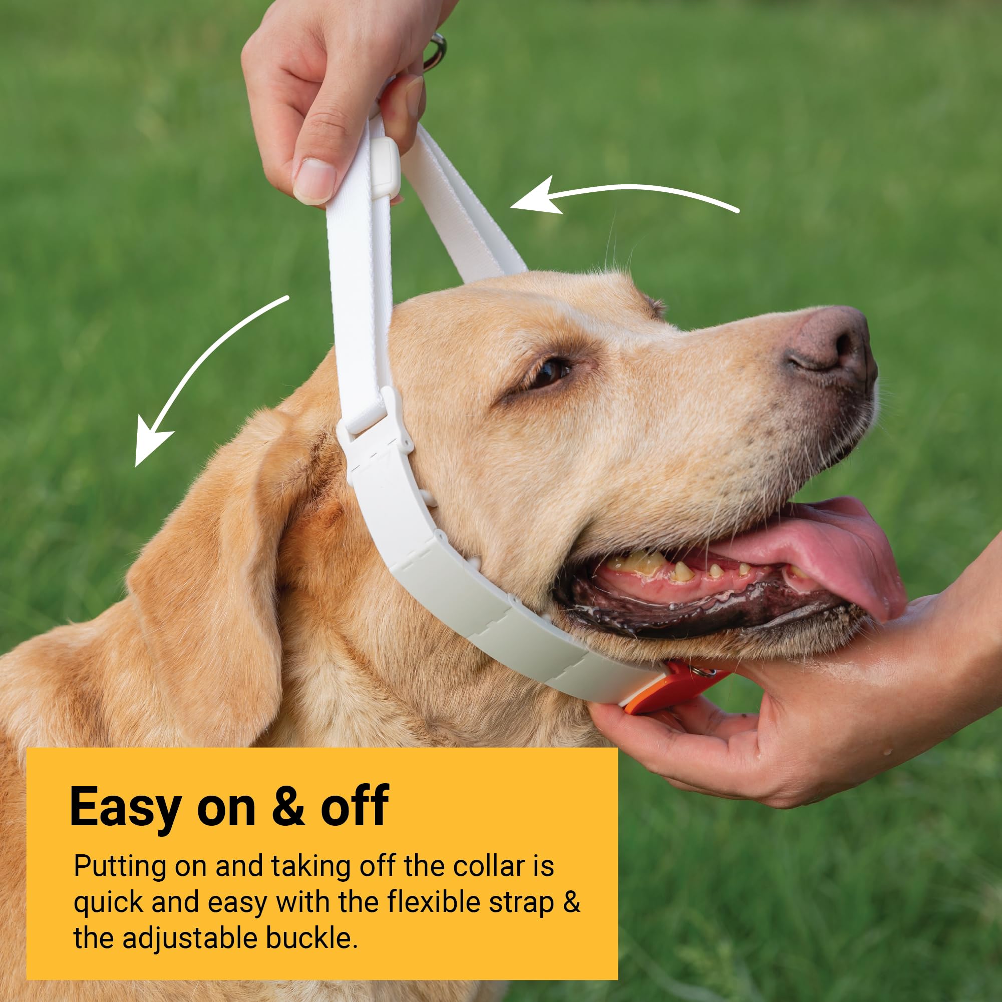 Svd.Pet Dog Prong Collar For No-Pull Training, Quick-Release Buckle Adjustable Pinch Collar For Large Dogs (White, Large Size)