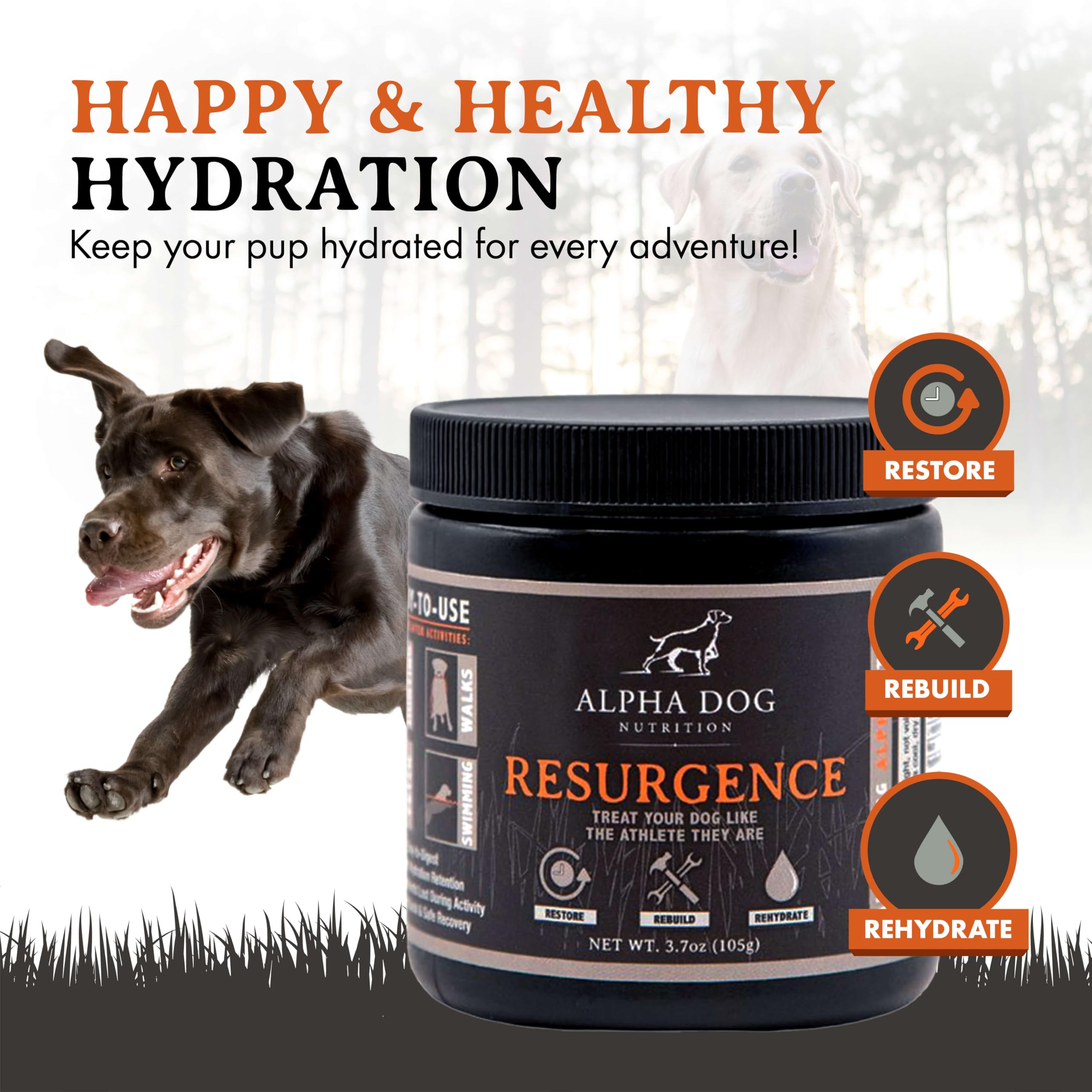 Alpha Dog Nutrition Resurgence Dog Electrolytes - 800 Servings Beef Flavor Hydration & Recovery Supplement