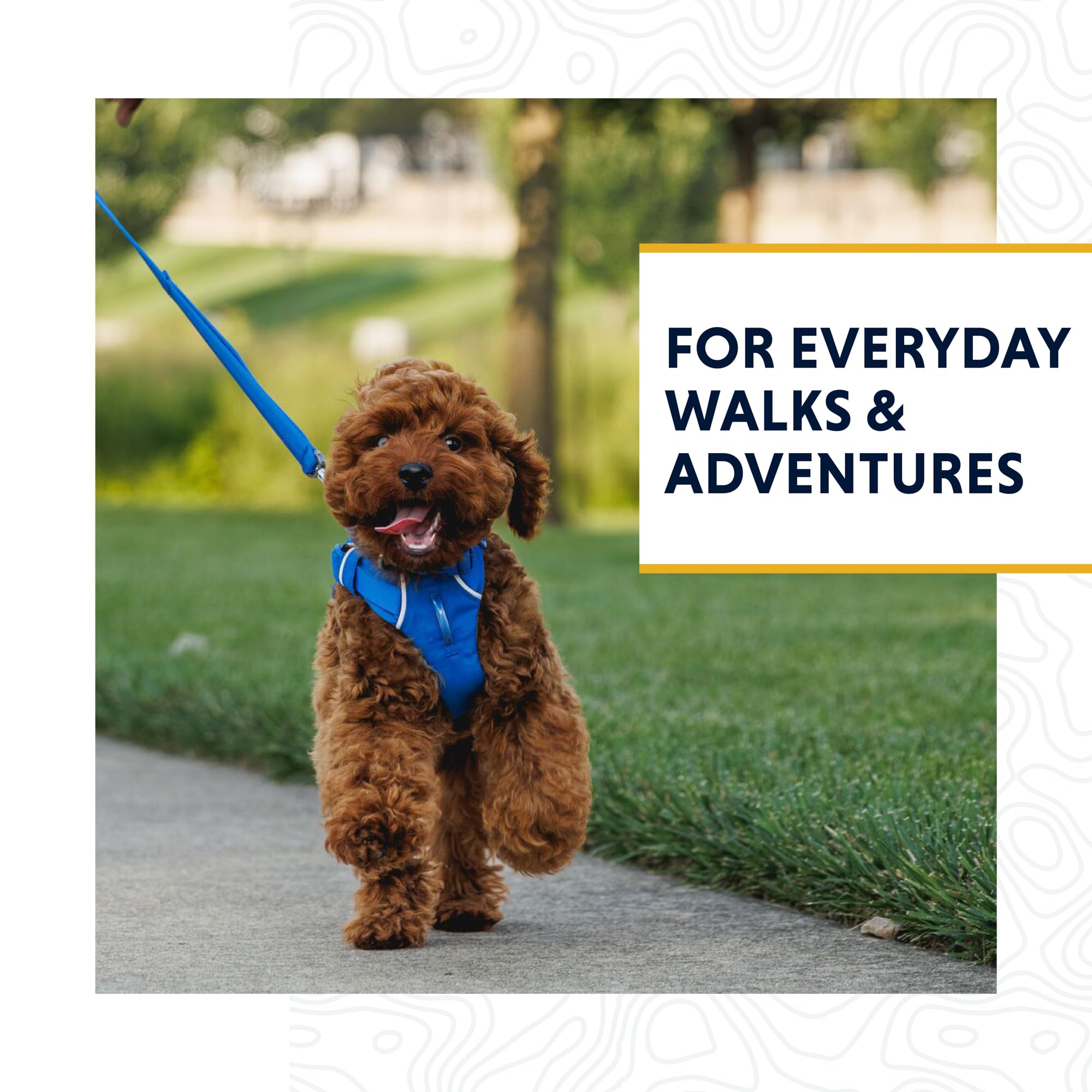 Ruffwear, Front Range Dog Leash, 5 Ft Lead With Padded Handle For Everyday Walking, Coastal Fade