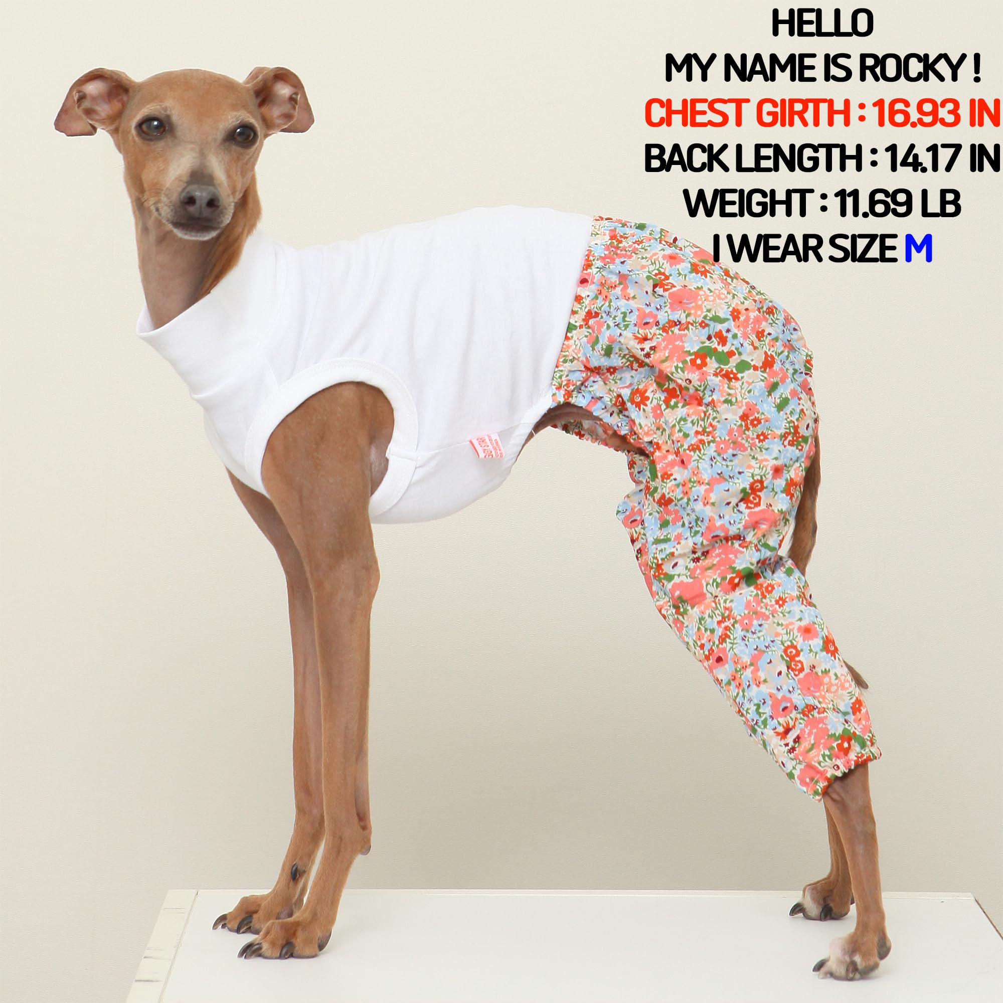 D Doggy Star Italian Greyhound Clothes Mombbe Onesie Outfit Whippet For Dog Coat (L,Mombbe Orange)